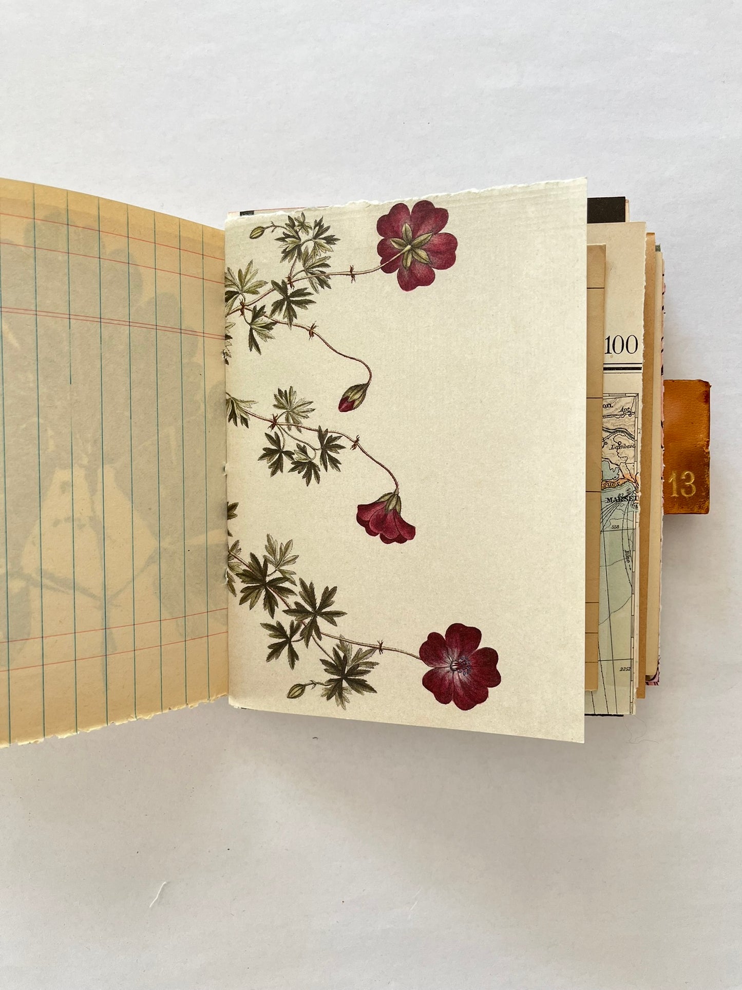 Nature/Garden Journal - no. 6