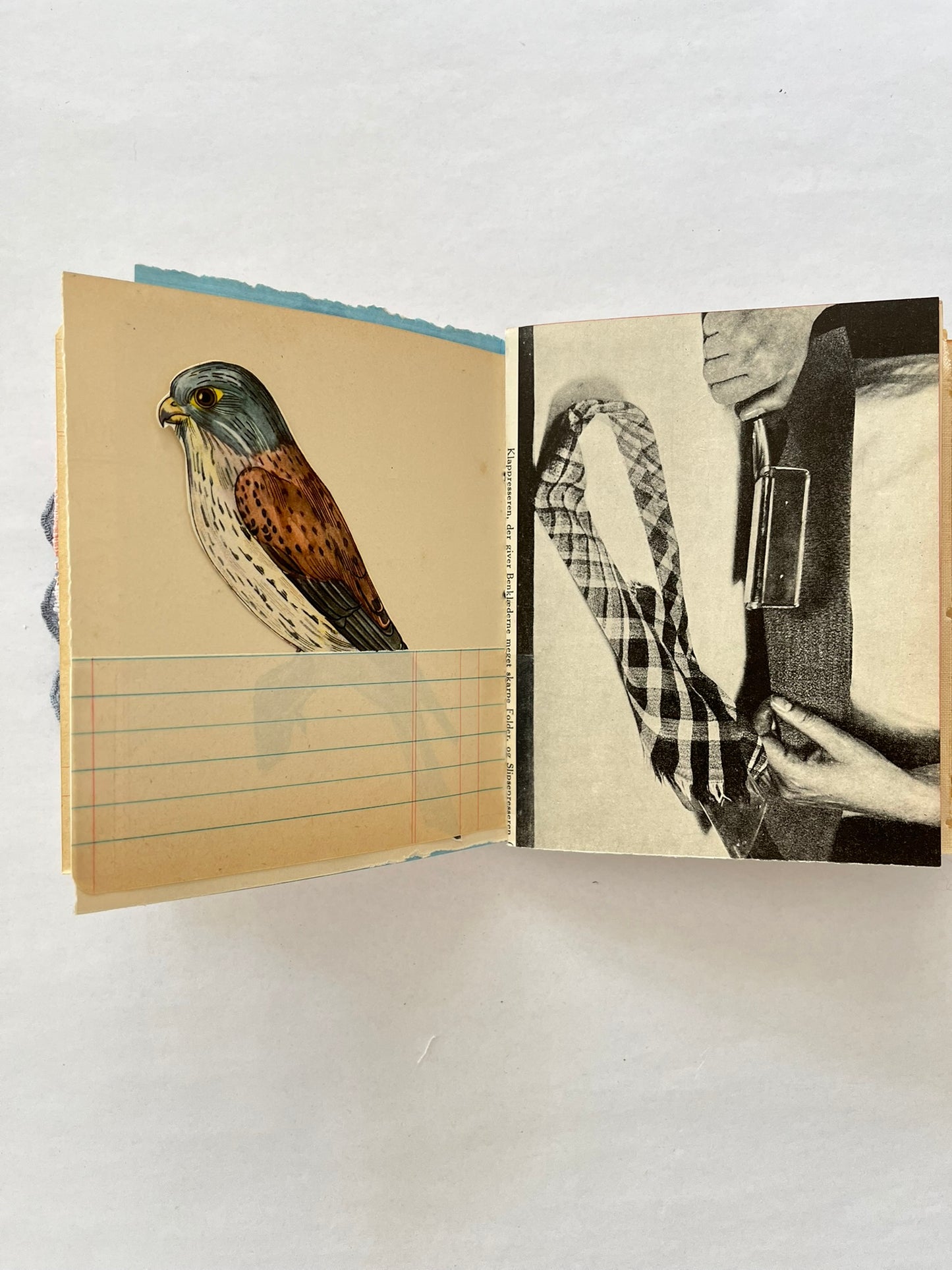 Nature/Garden Journal - no. 6