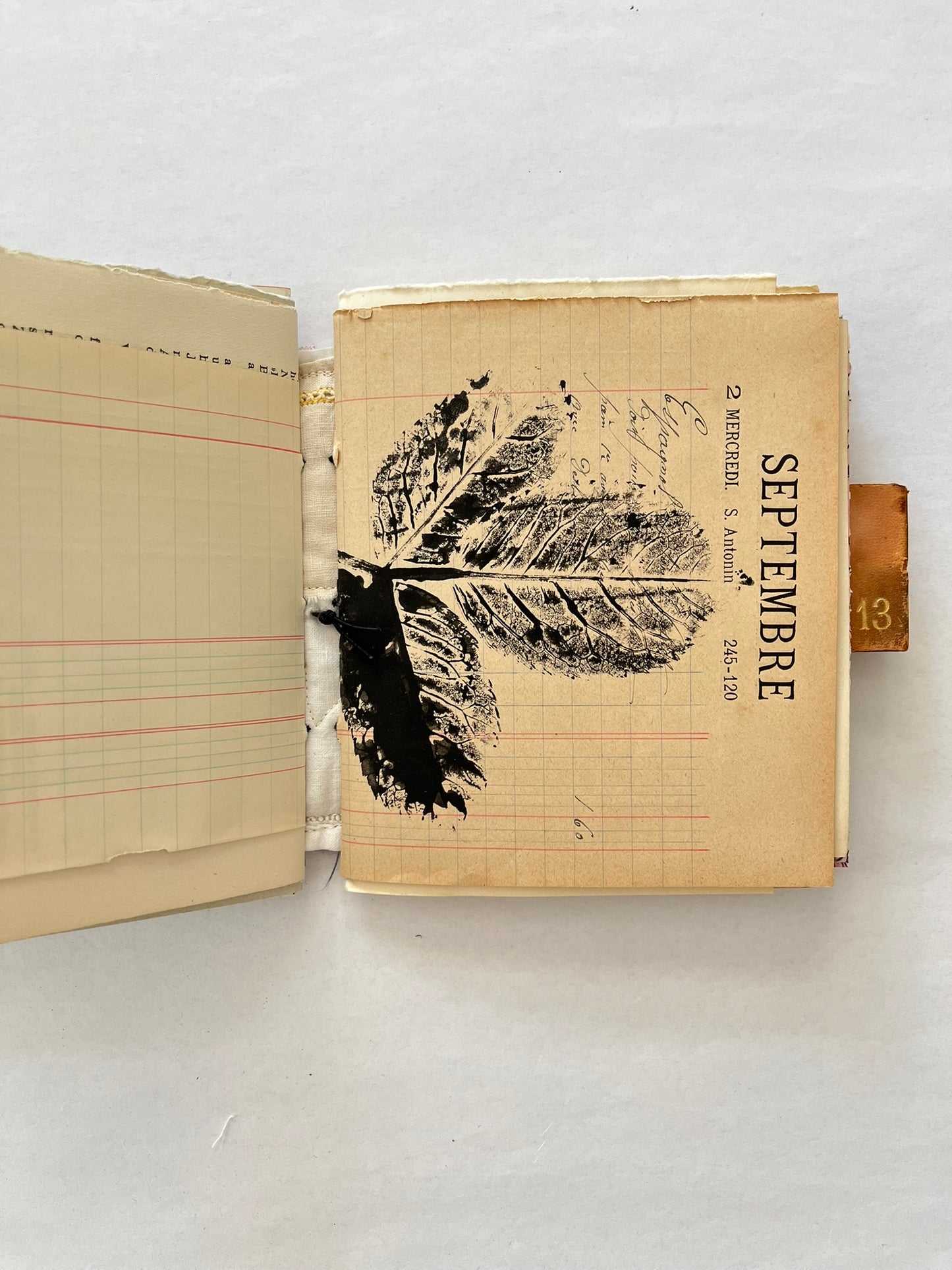 Nature/Garden Journal - no. 6