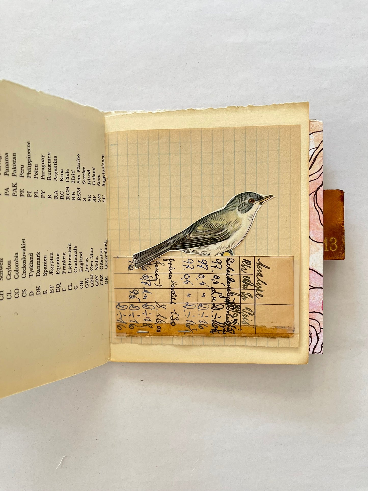 Nature/Garden Journal - no. 6