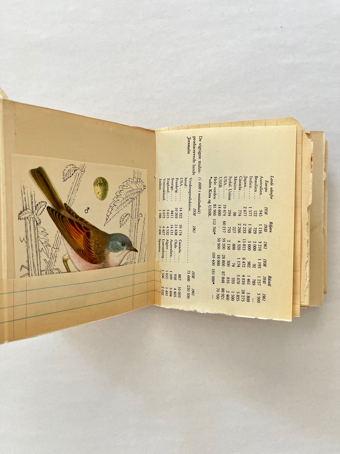 Nature/Garden Journal - no. 7