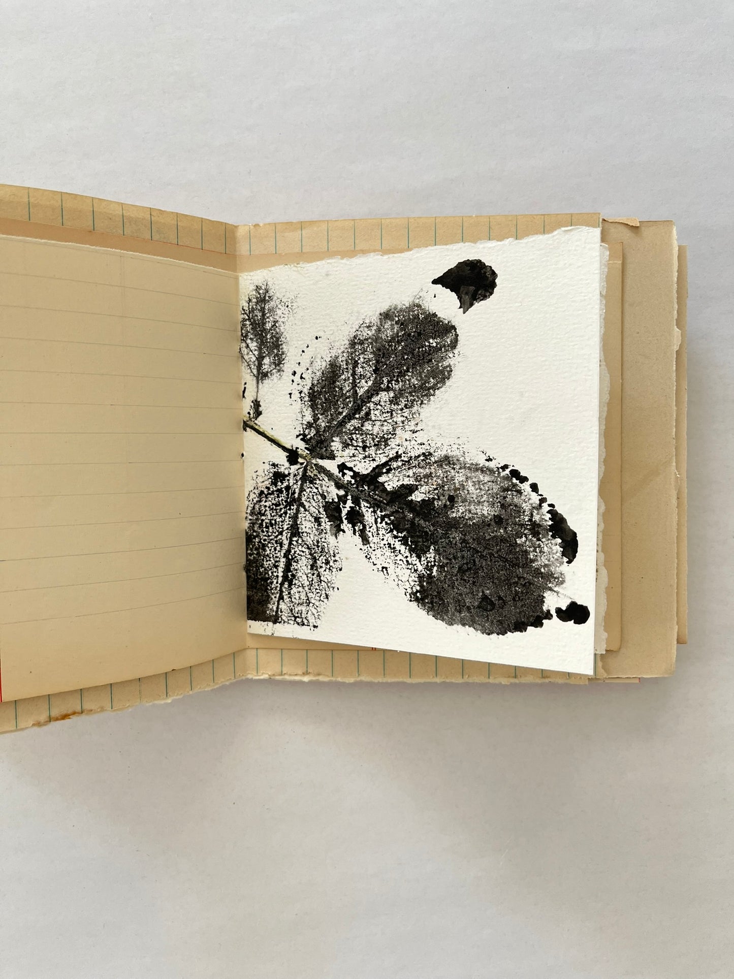 Nature/Garden Journal - no. 7