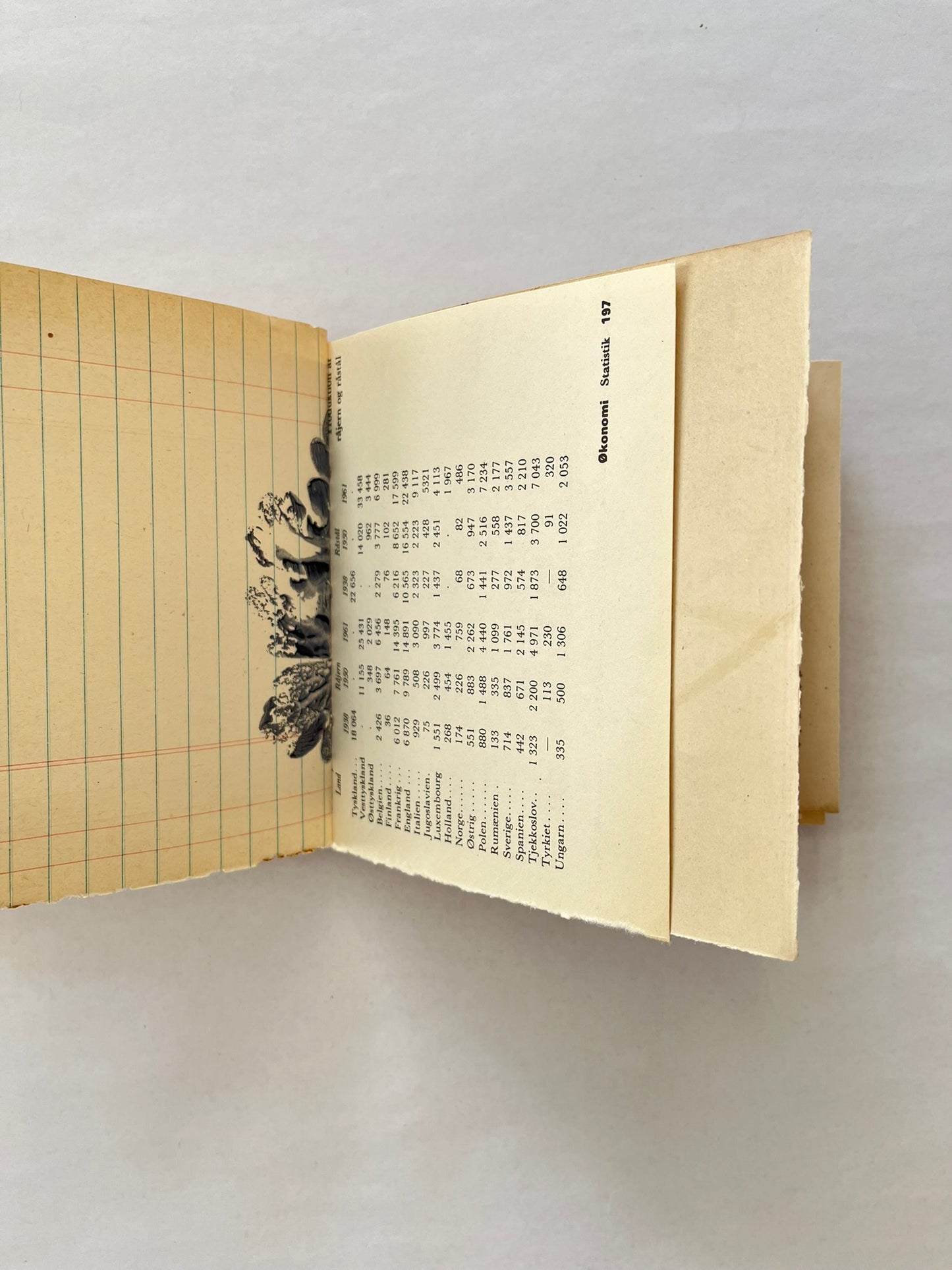 Nature/Garden Journal - no. 7