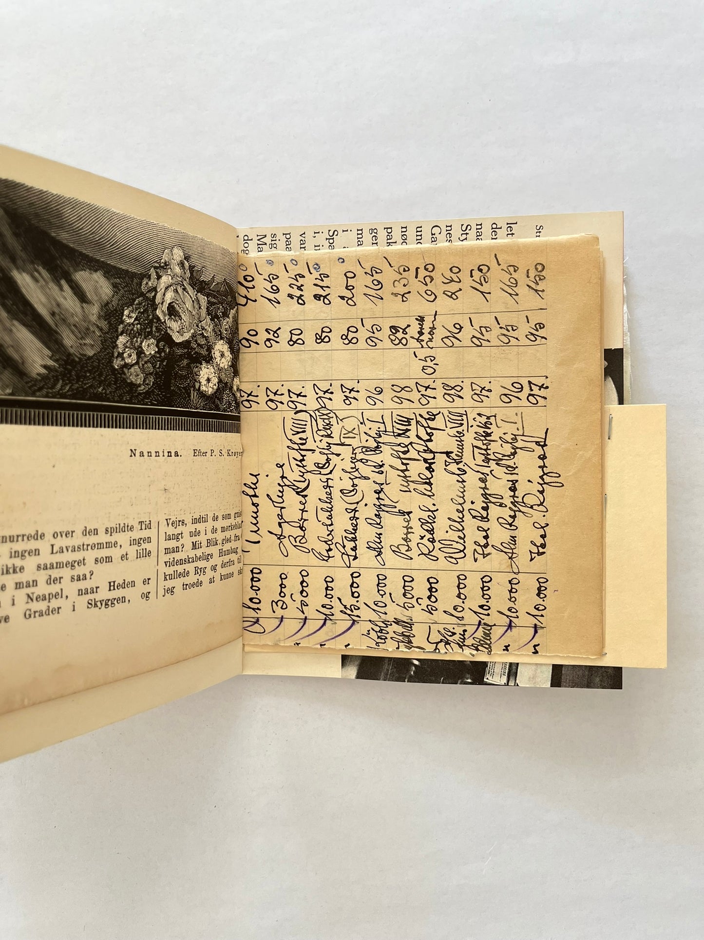 Nature/Garden Journal - no. 7
