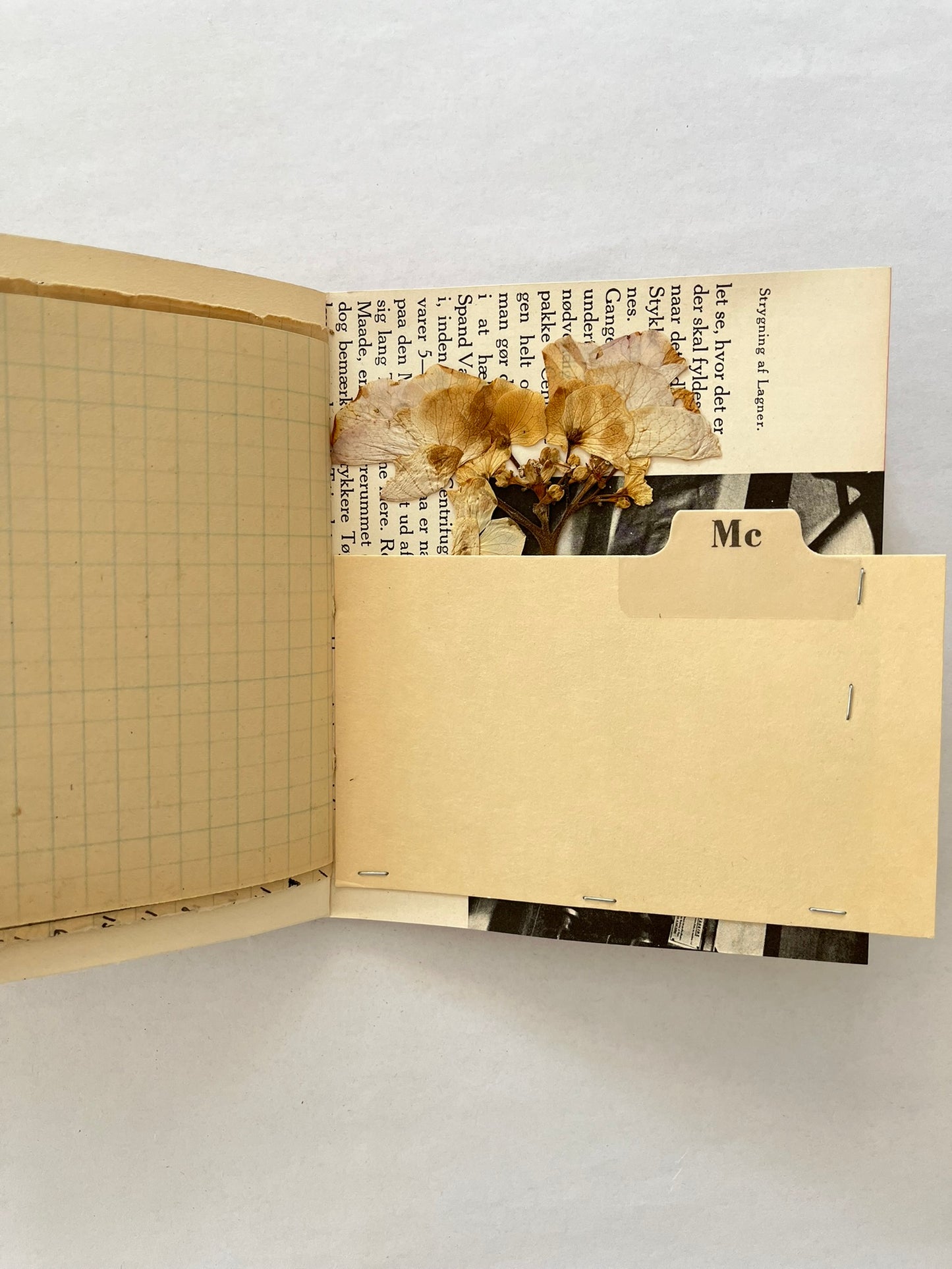 Nature/Garden Journal - no. 7
