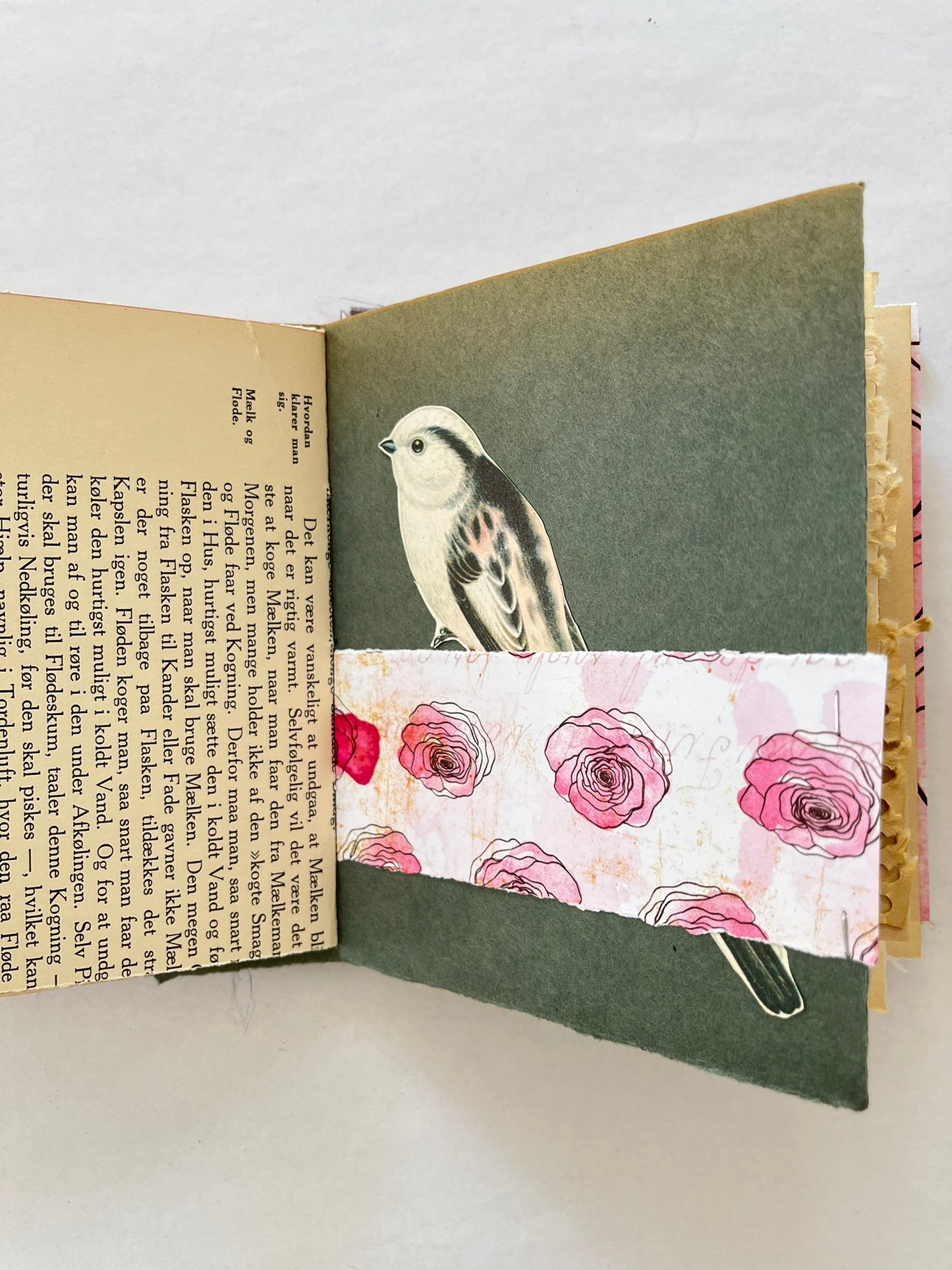 Nature/Garden Journal - no. 8