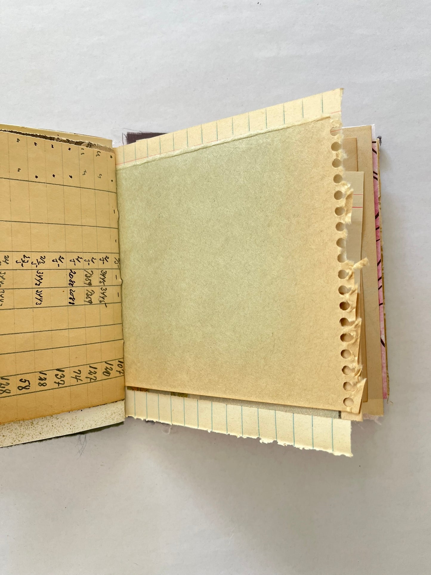 Nature/Garden Journal - no. 8