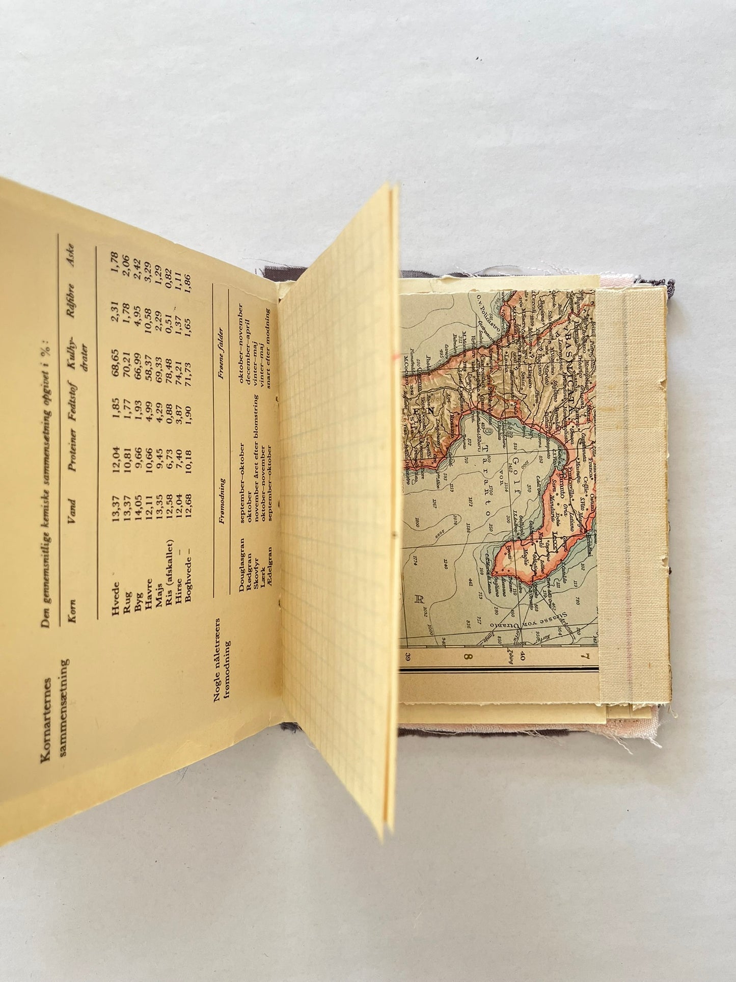 Nature/Garden Journal - no. 8