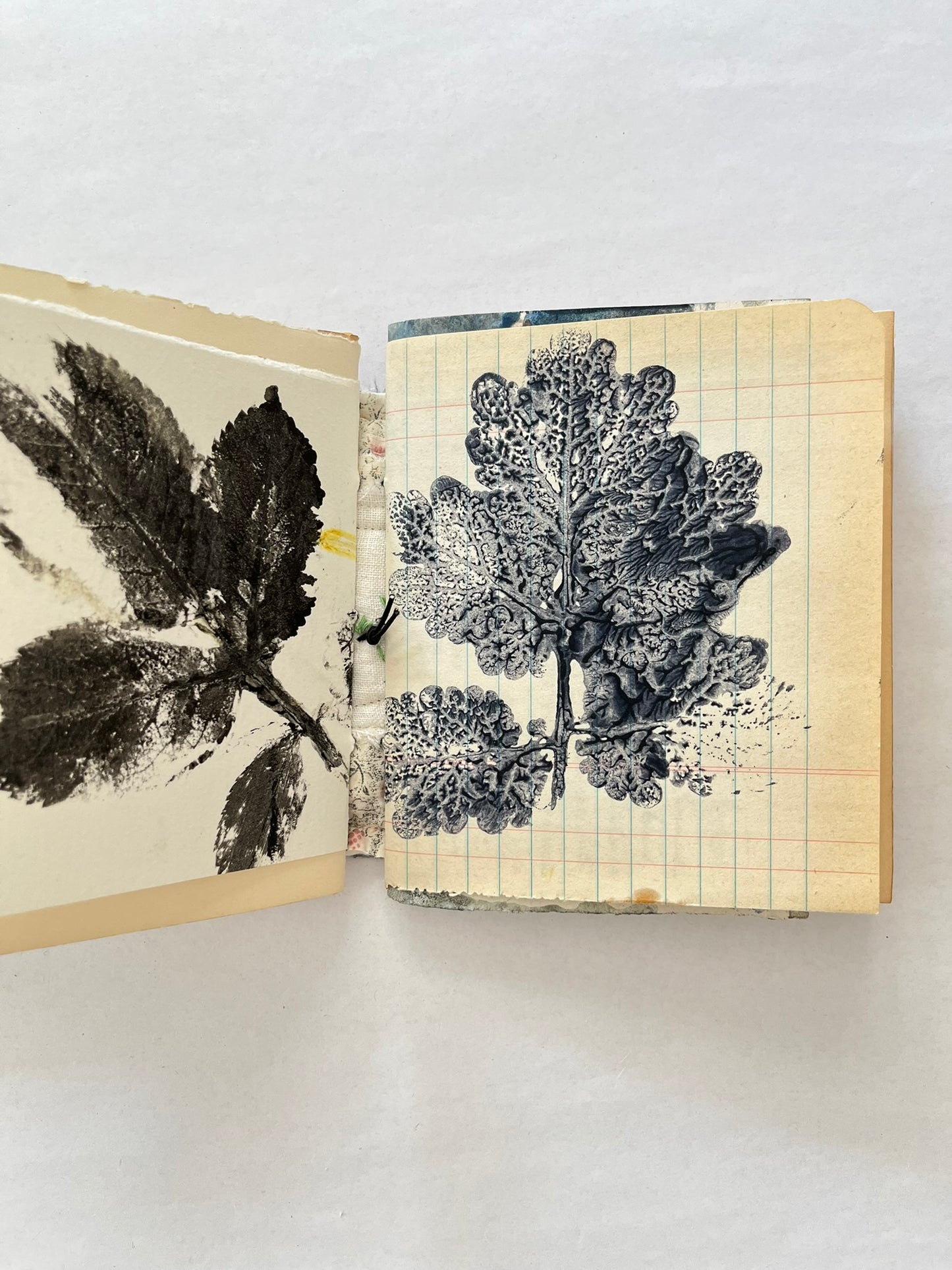 Nature/Garden Journal - no. 9
