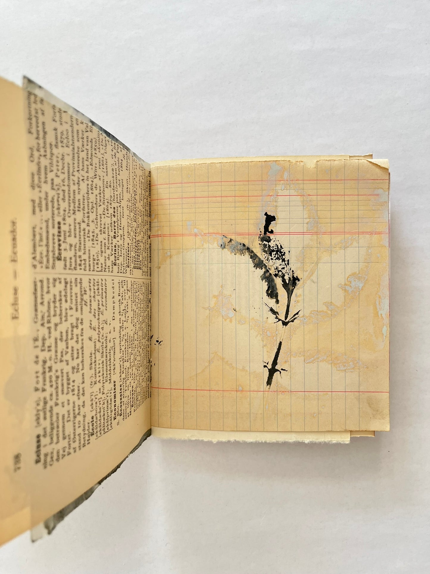 Nature/Garden Journal - no. 9