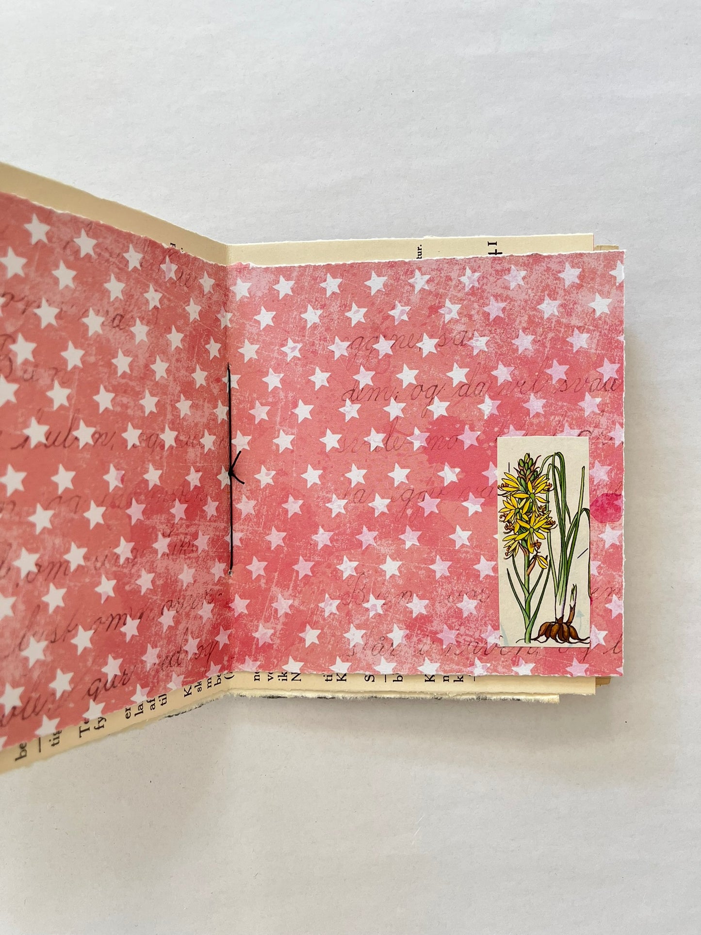 Nature/Garden Journal - no. 9