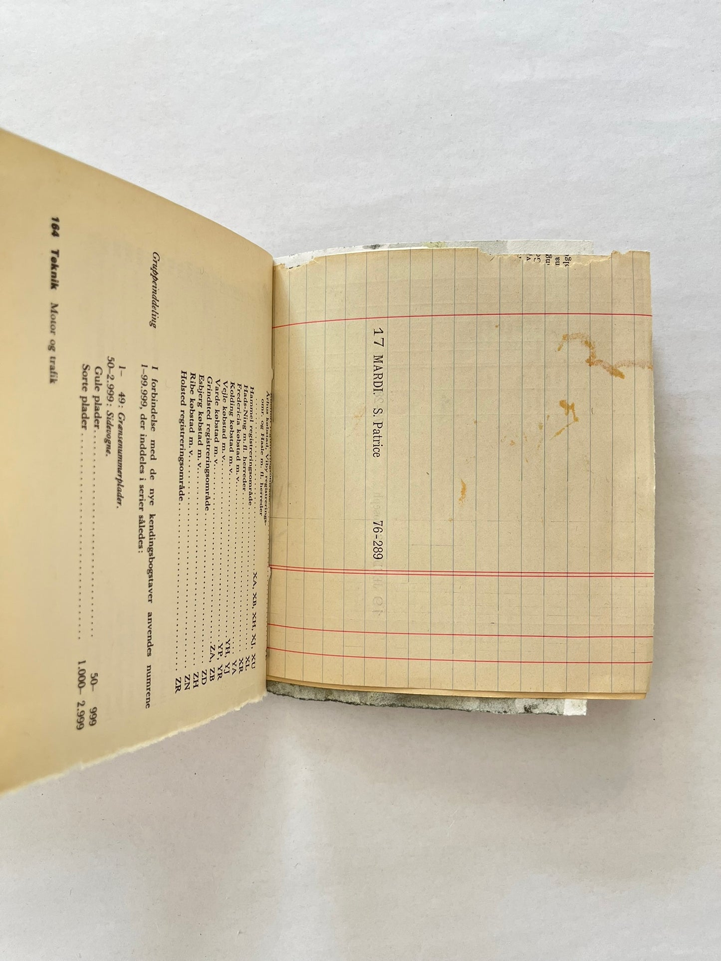 Nature/Garden Journal - no. 9