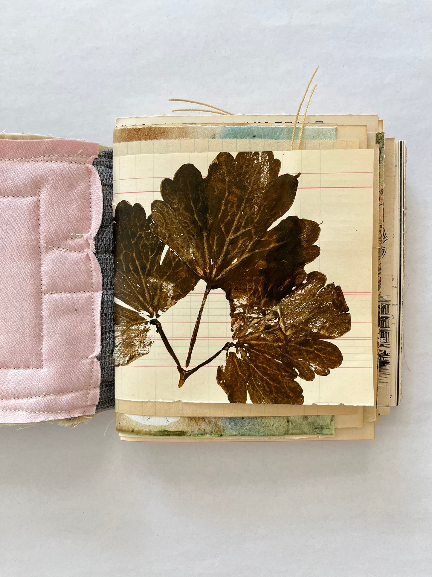 Nature/Garden Journal - no. 10