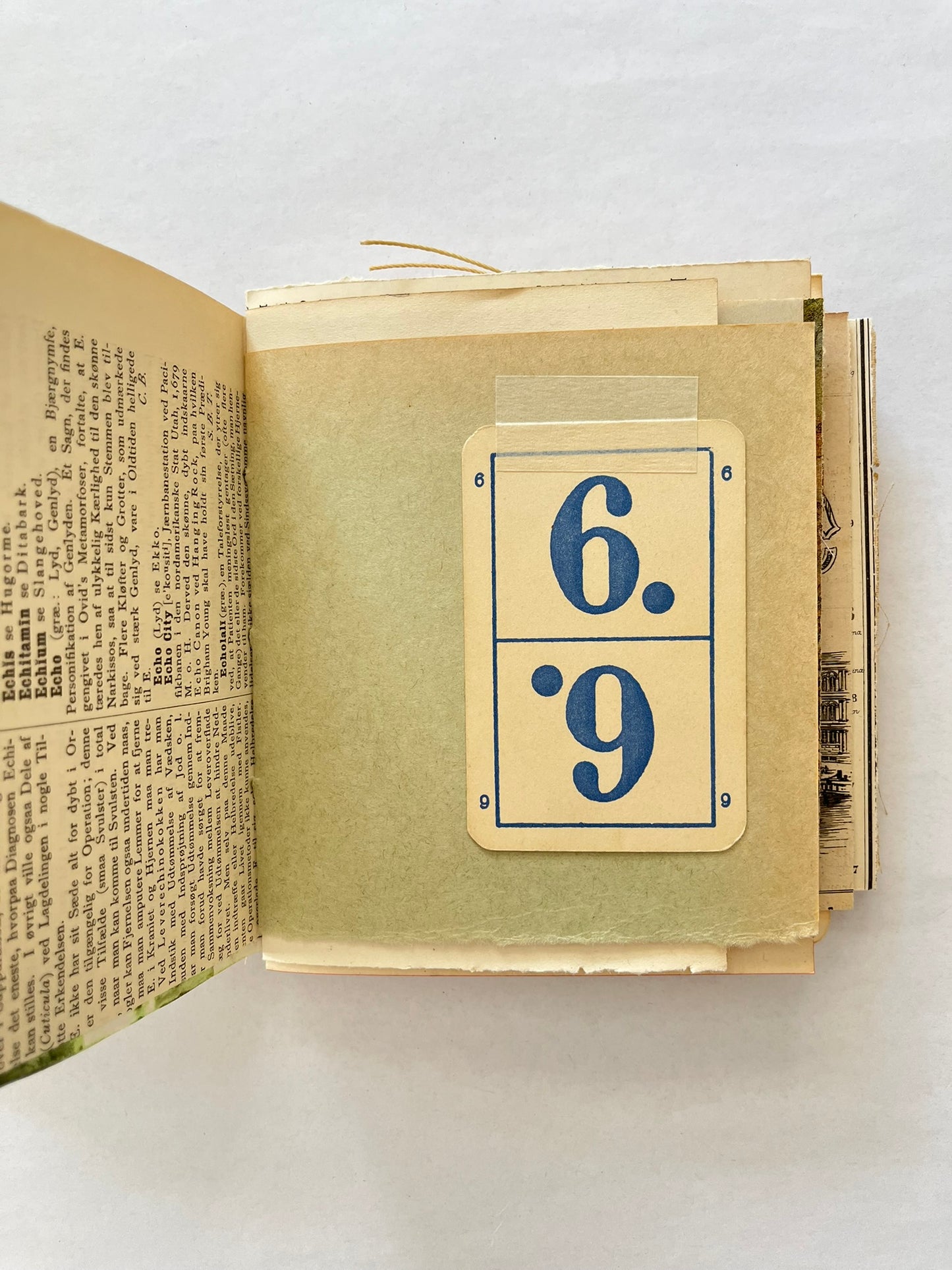 Nature/Garden Journal - no. 10