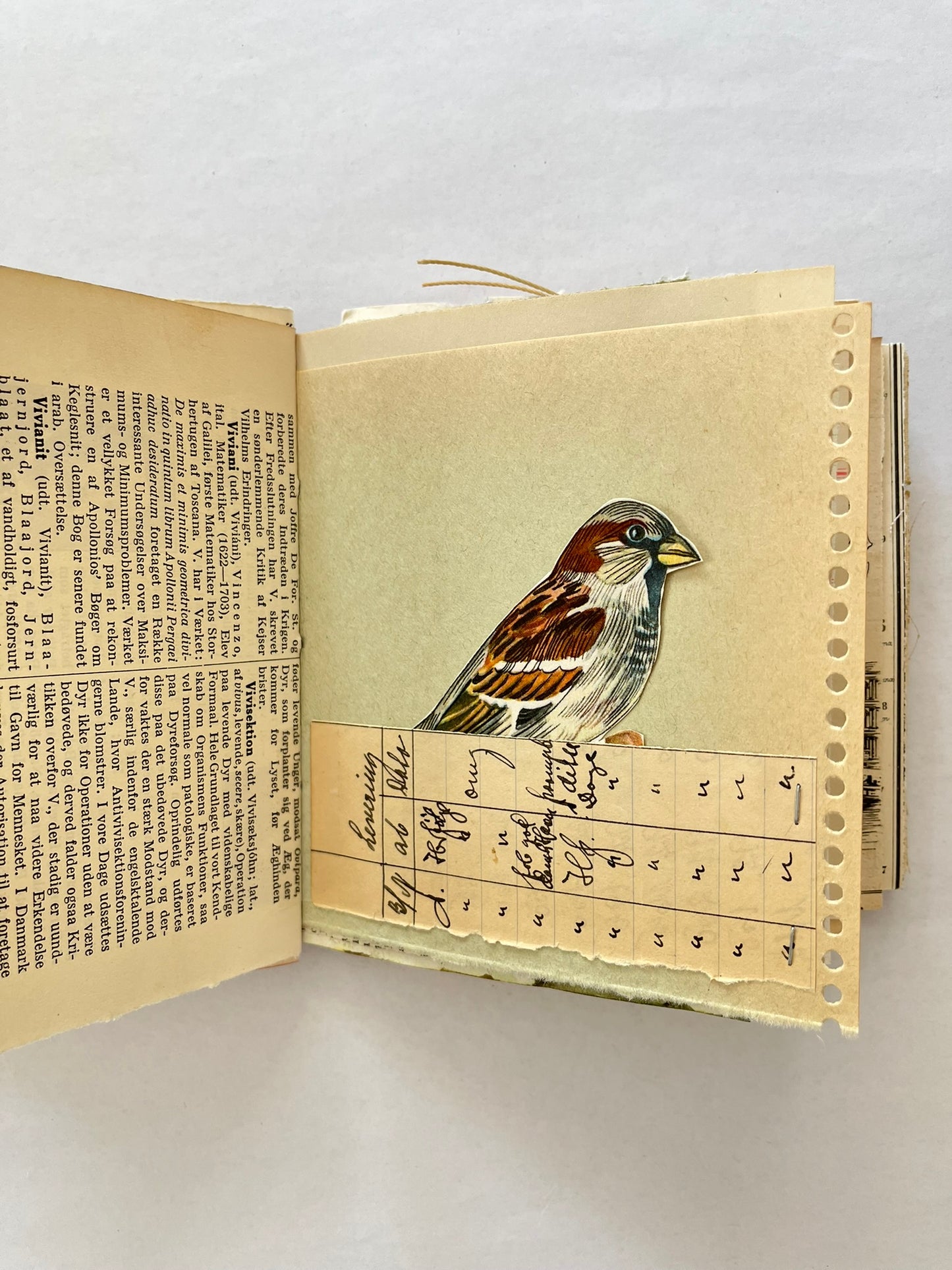 Nature/Garden Journal - no. 10