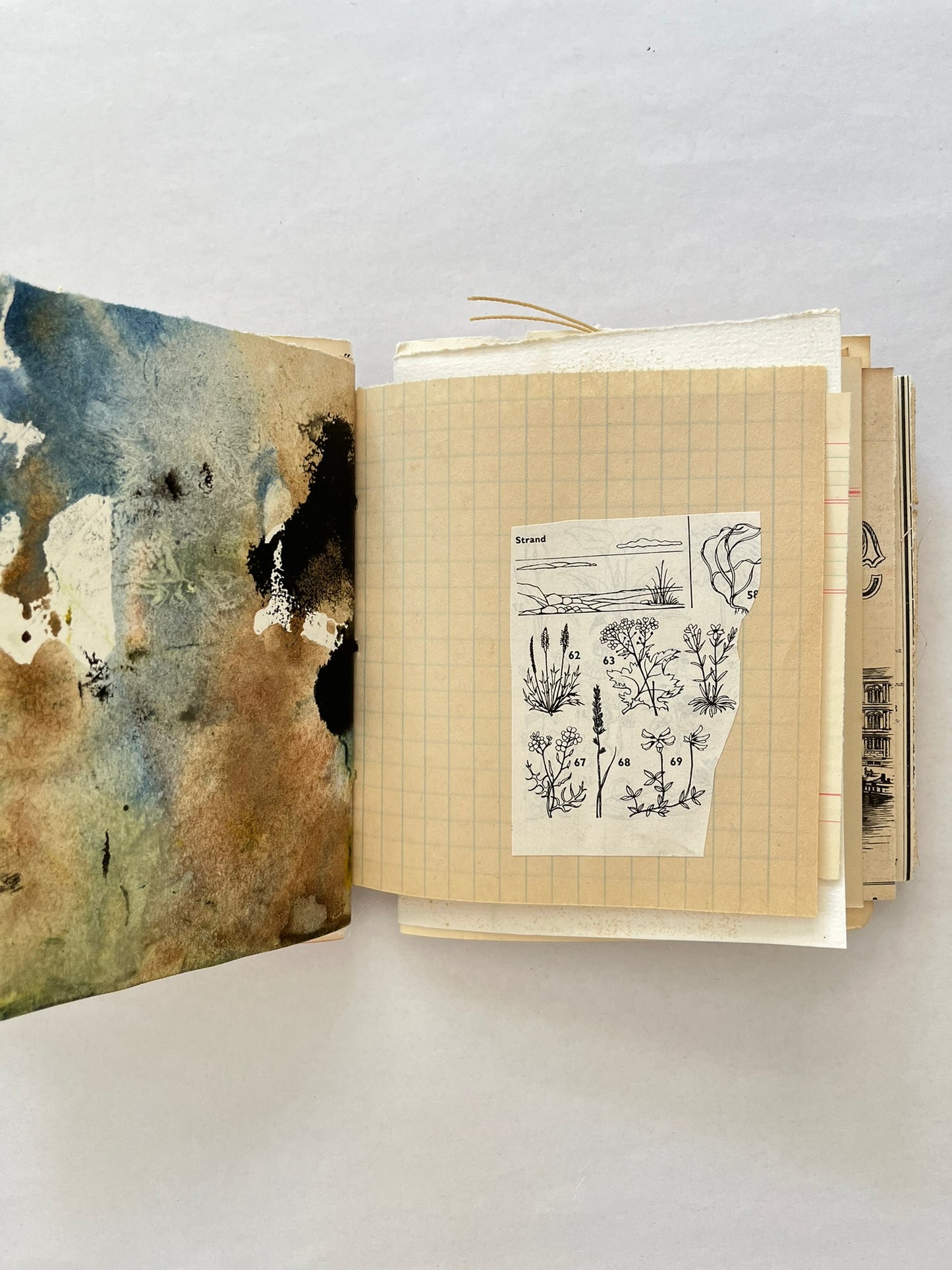 Nature/Garden Journal - no. 10