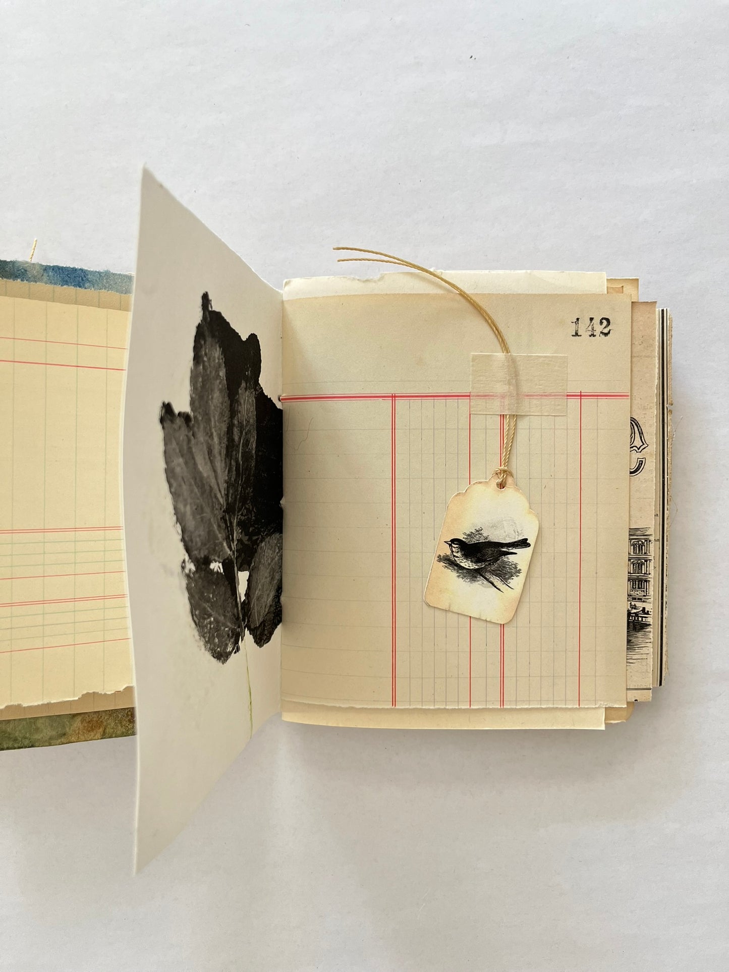 Nature/Garden Journal - no. 10