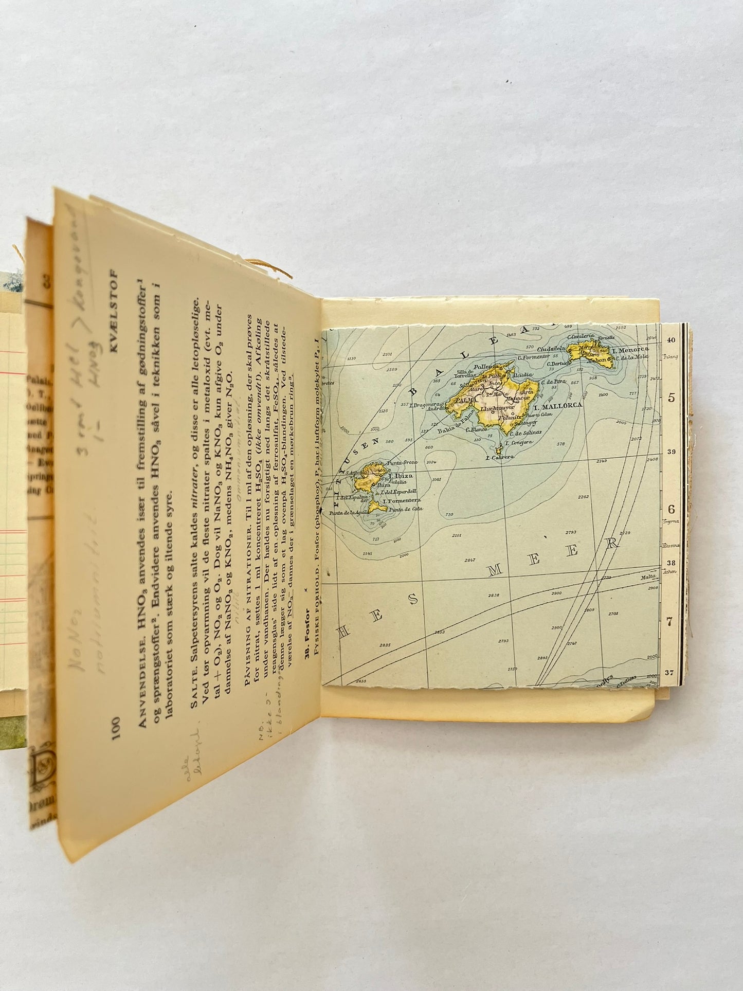 Nature/Garden Journal - no. 10