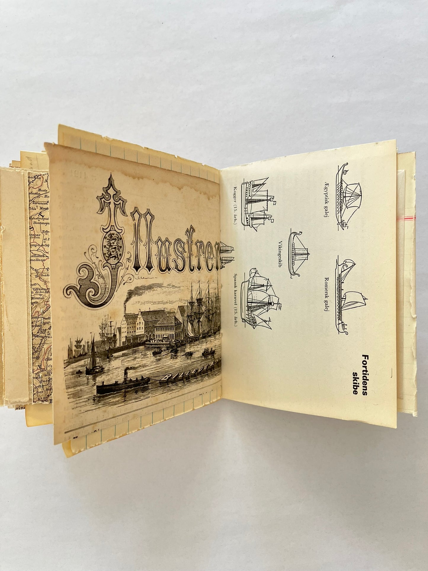Nature/Garden Journal - no. 10