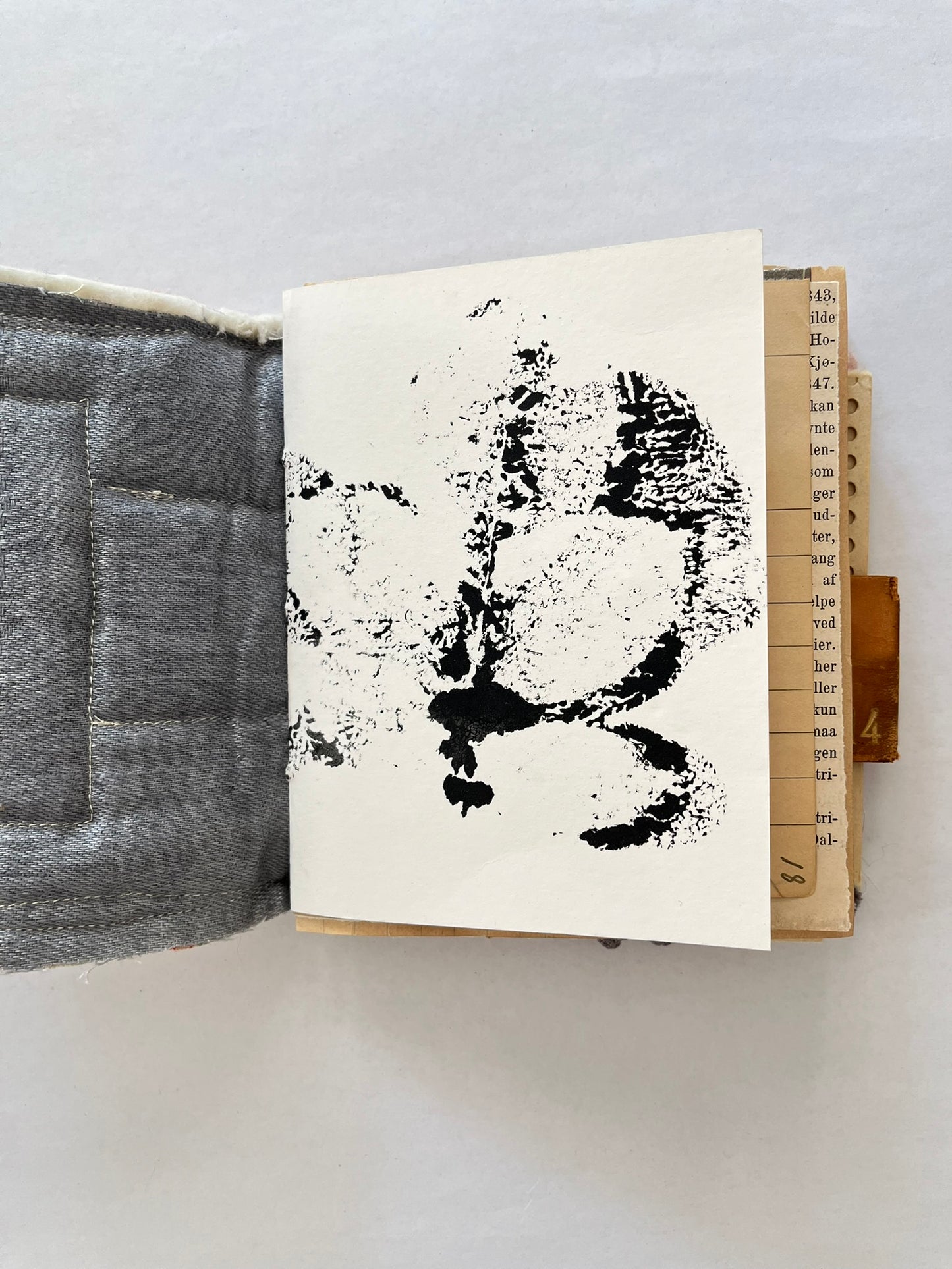 Nature/Garden Journal - no. 11
