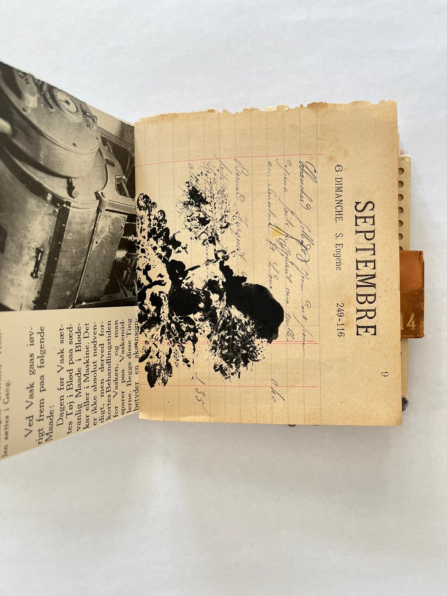Nature/Garden Journal - no. 11