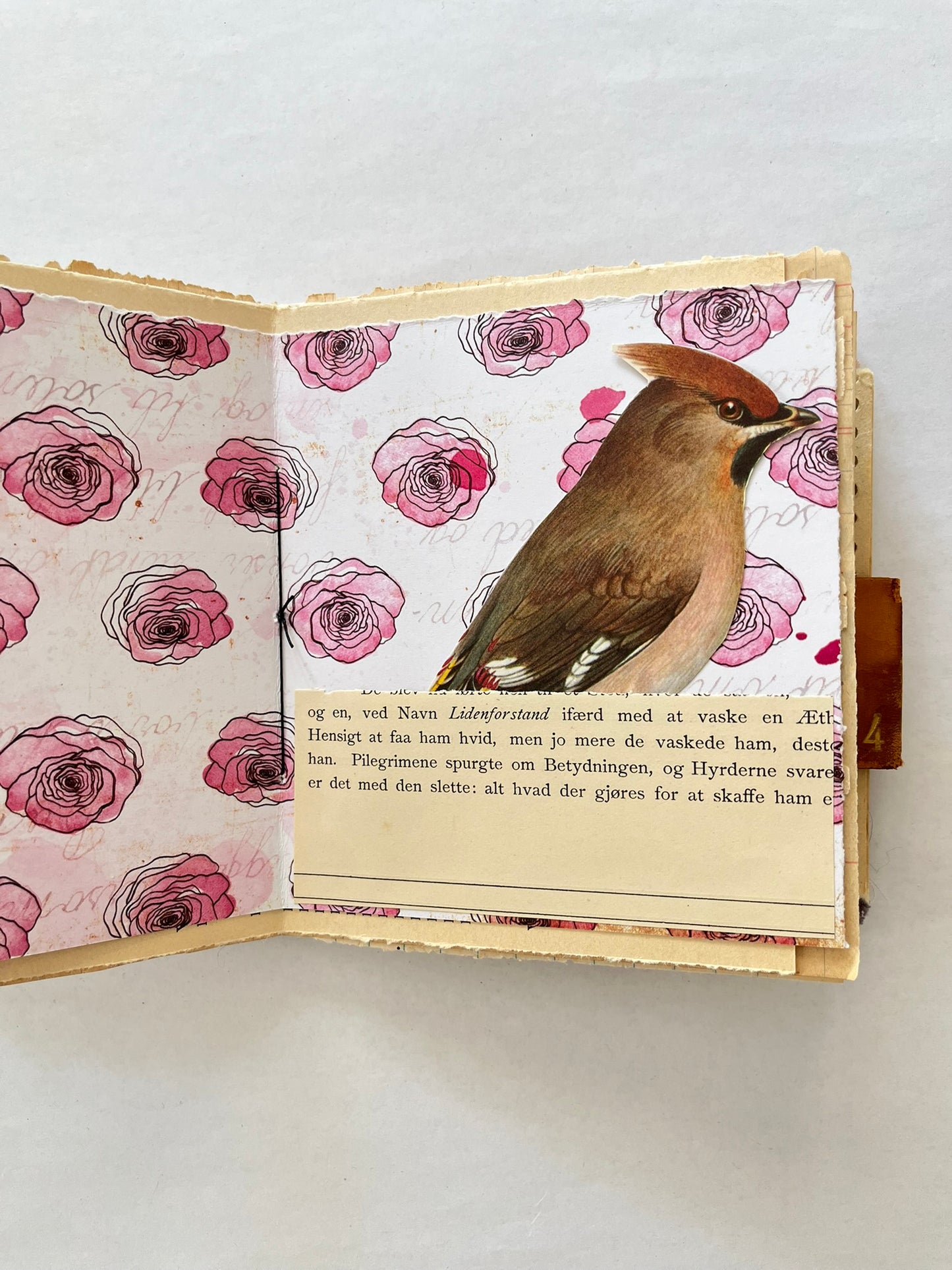 Nature/Garden Journal - no. 11