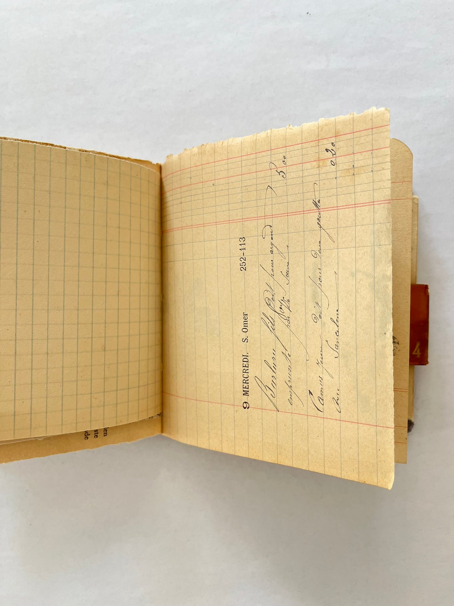 Nature/Garden Journal - no. 11