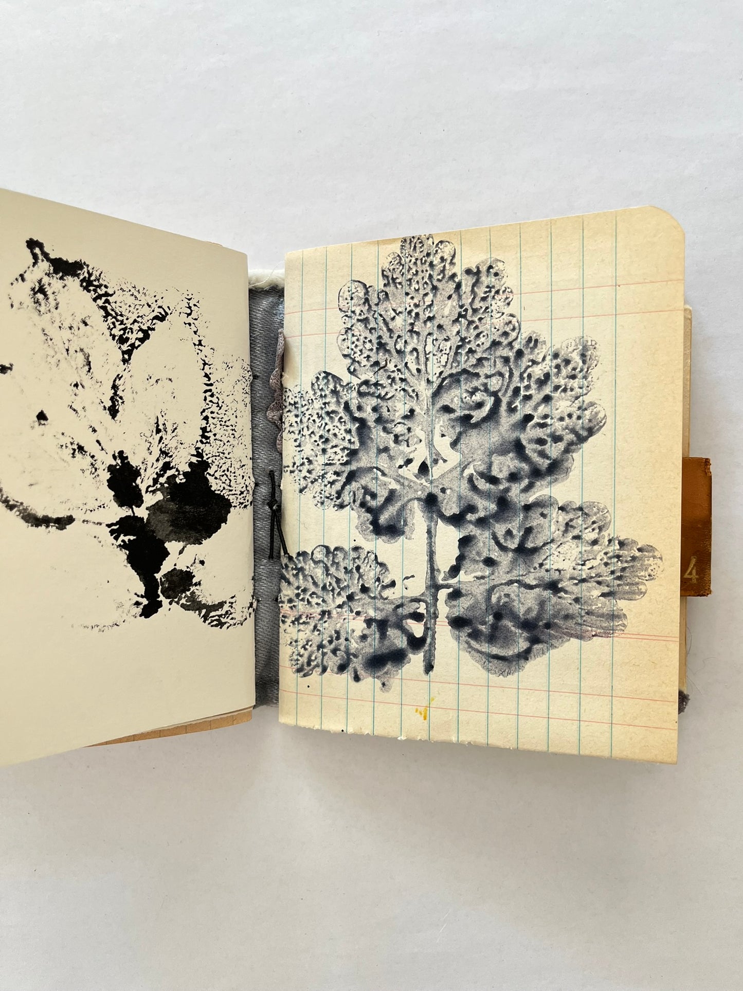 Nature/Garden Journal - no. 11