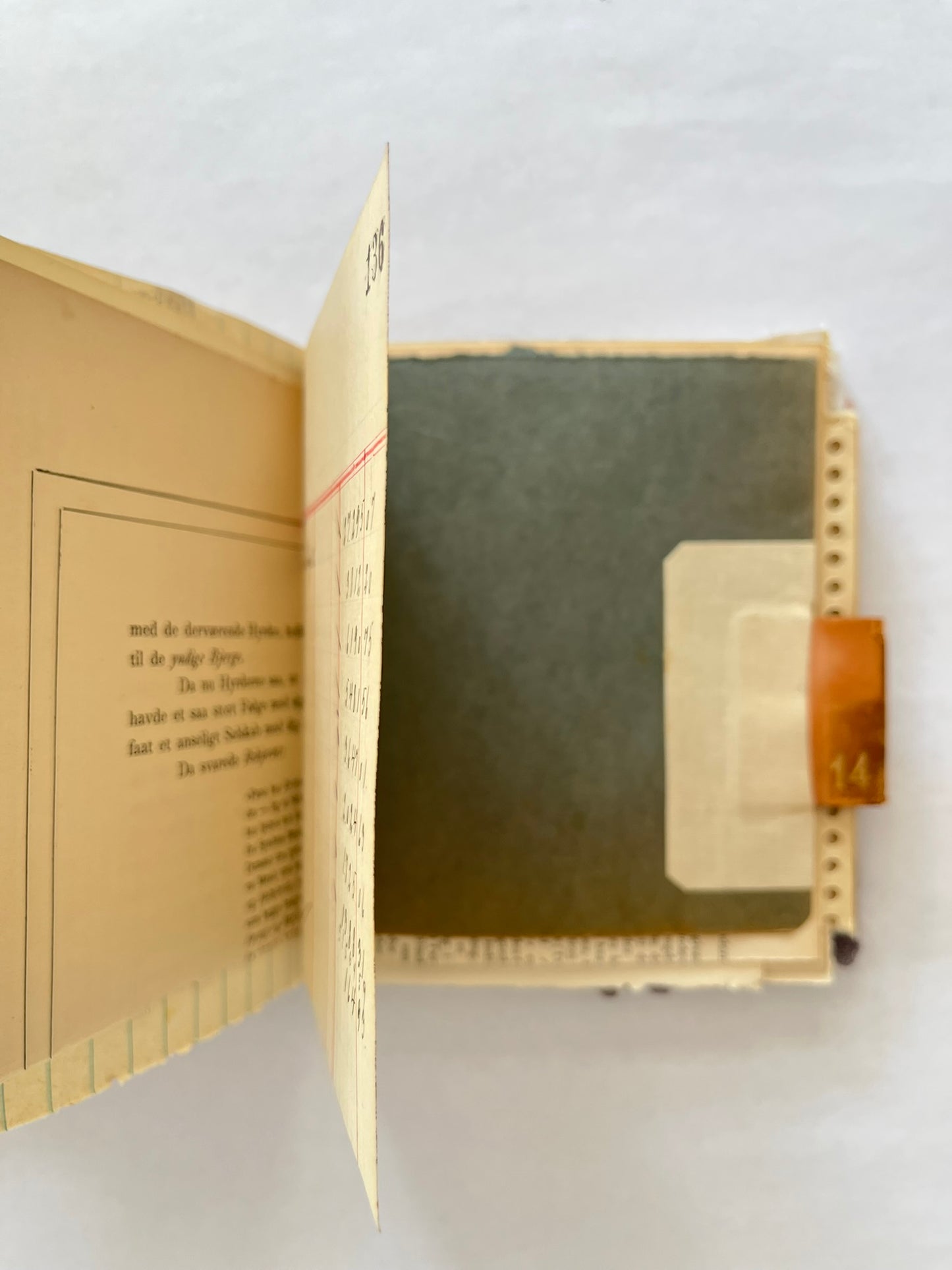 Nature/Garden Journal - no. 11