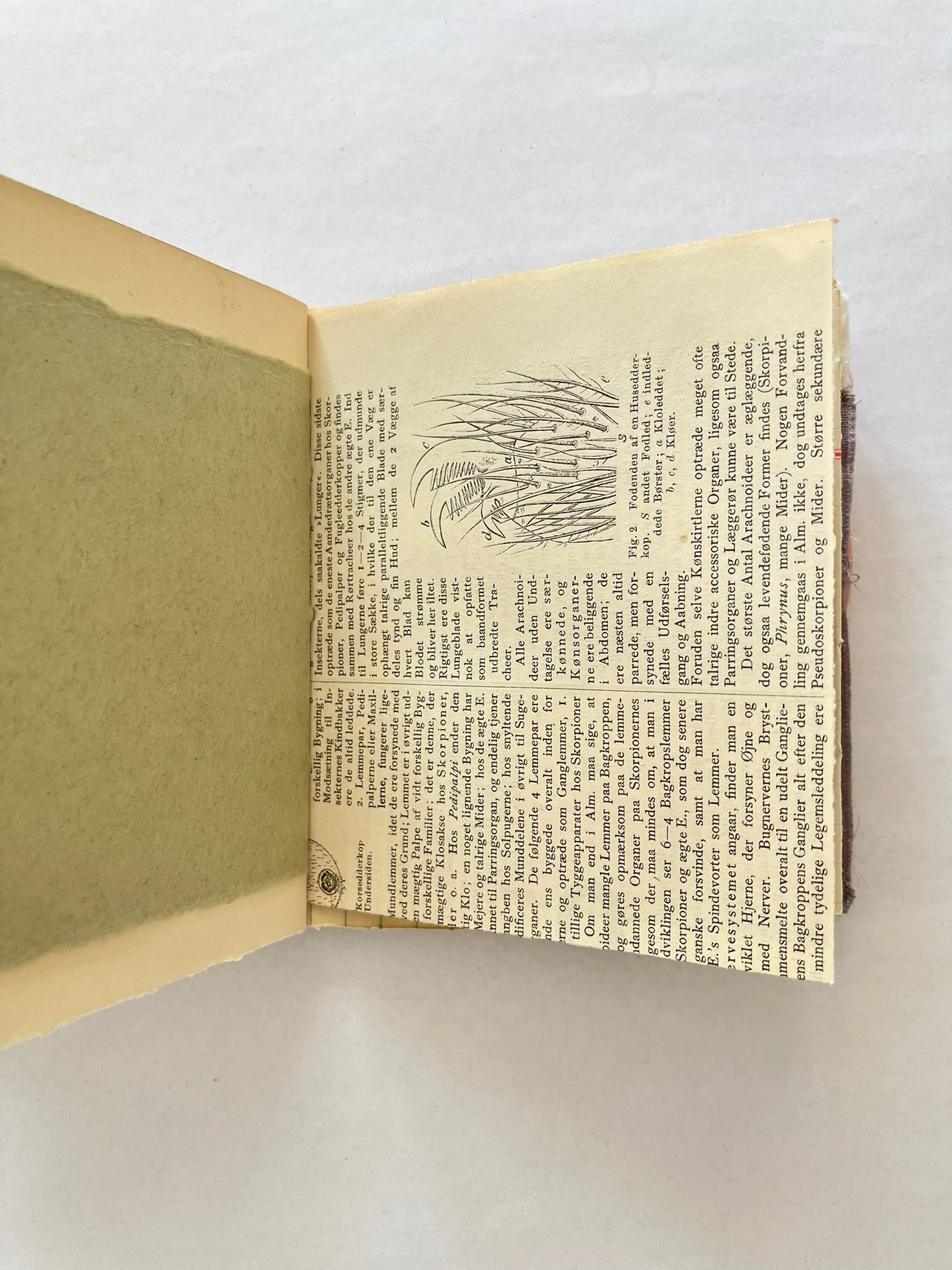 Nature/Garden Journal - no. 11