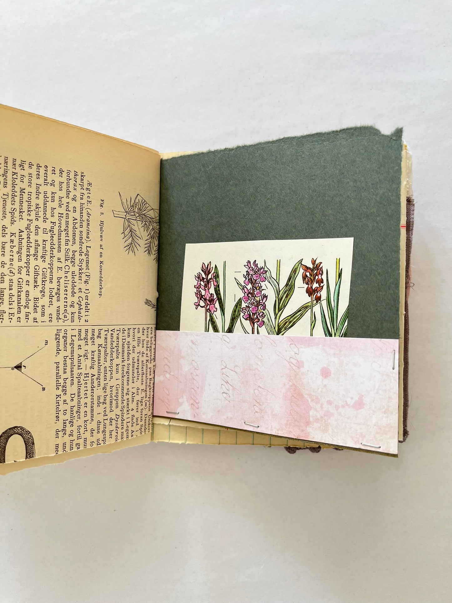 Nature/Garden Journal - no. 11