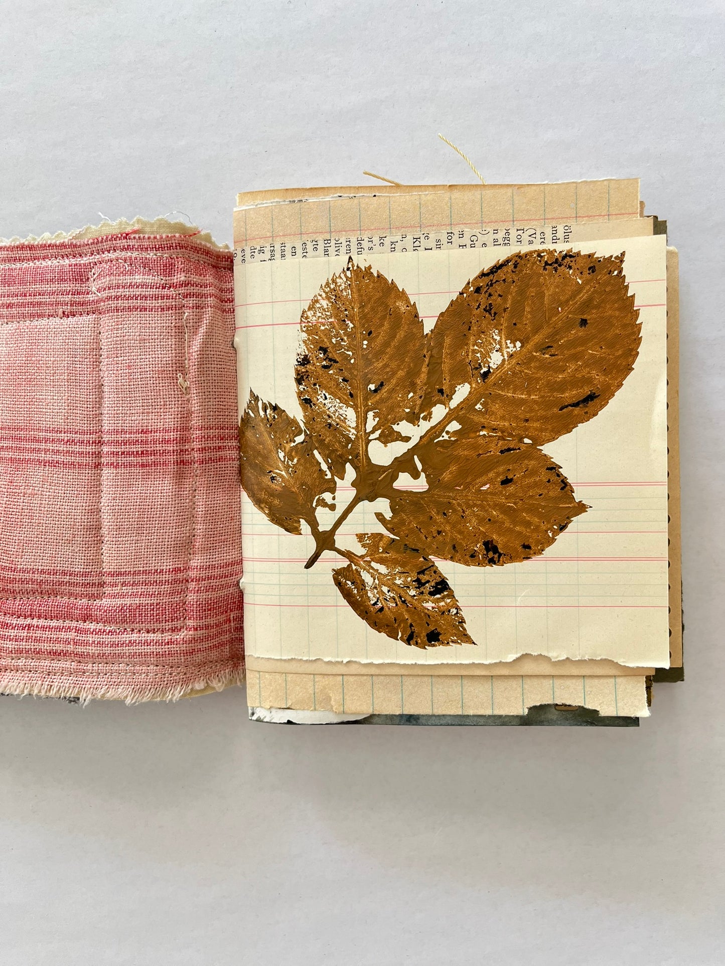 Nature/Garden Journal - no. 12