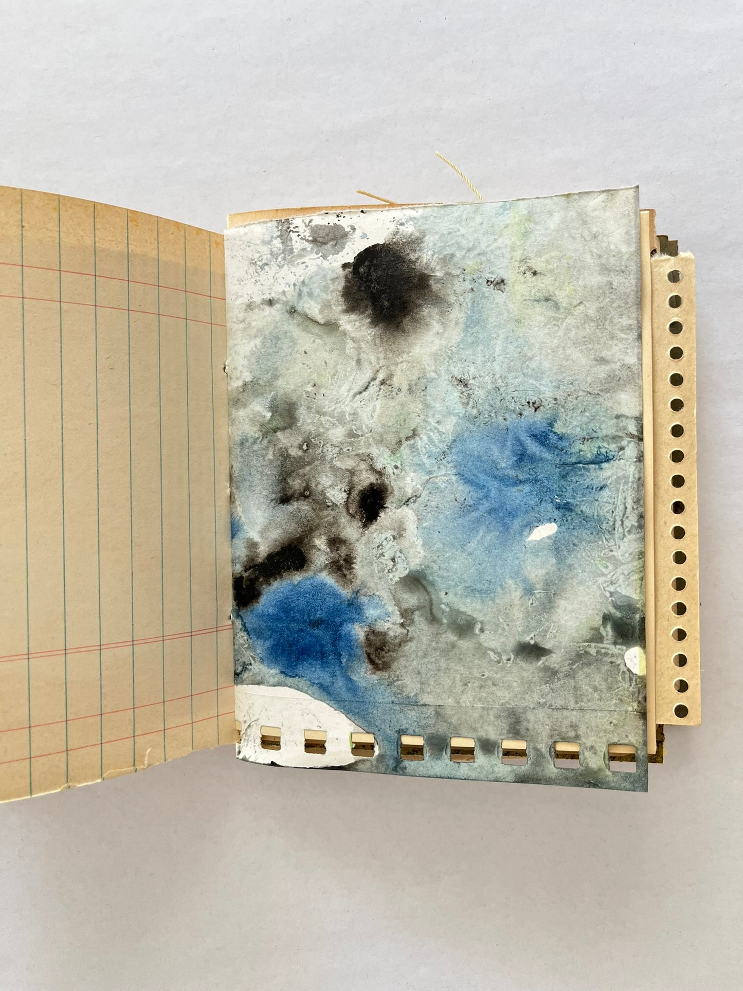 Nature/Garden Journal - no. 12