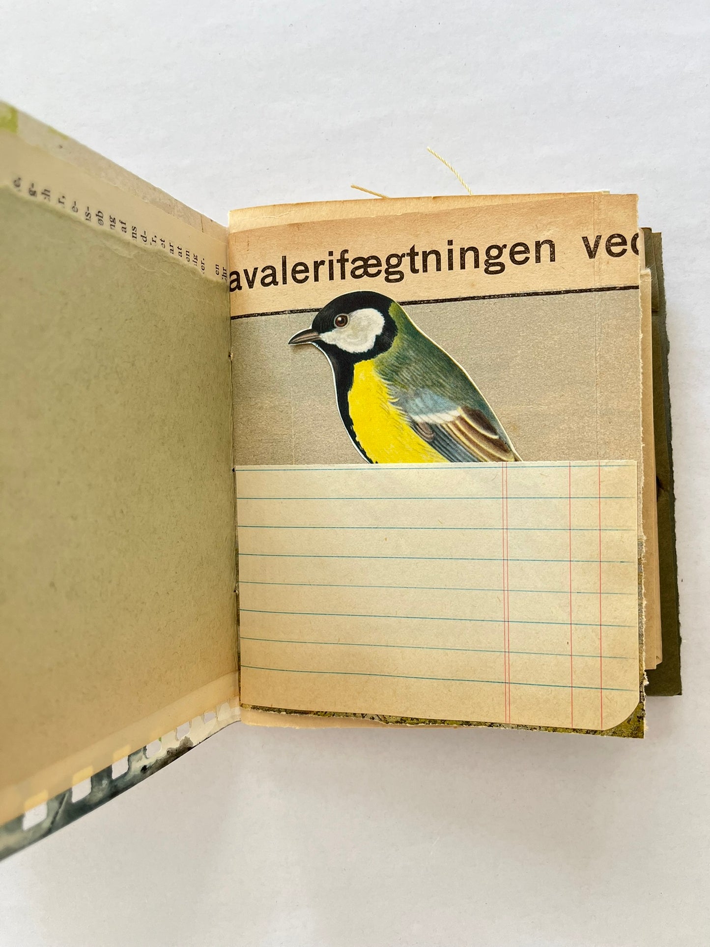 Nature/Garden Journal - no. 12