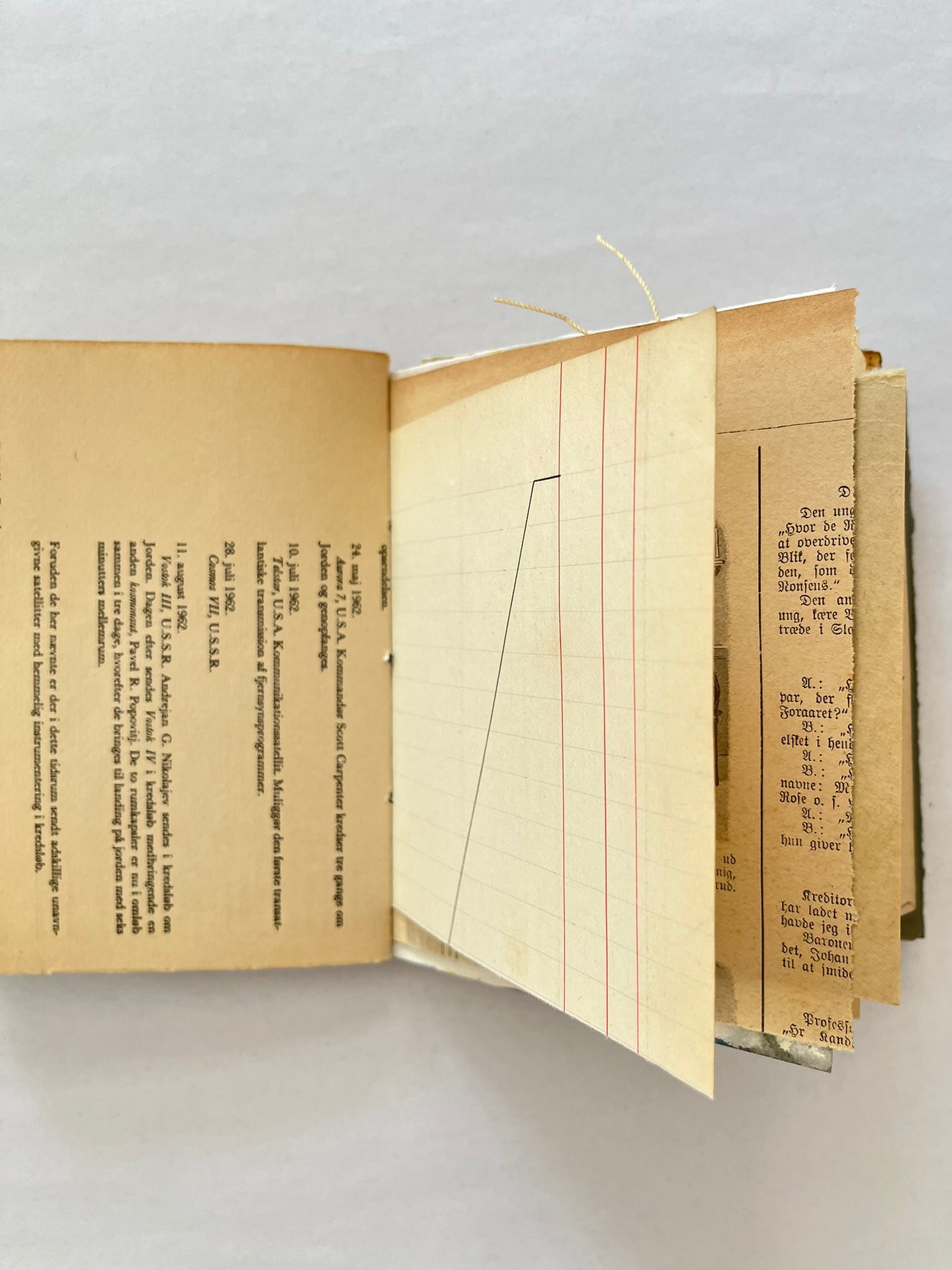 Nature/Garden Journal - no. 12