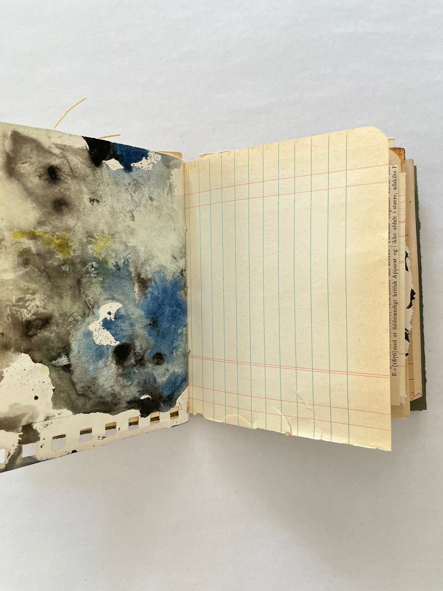 Nature/Garden Journal - no. 12