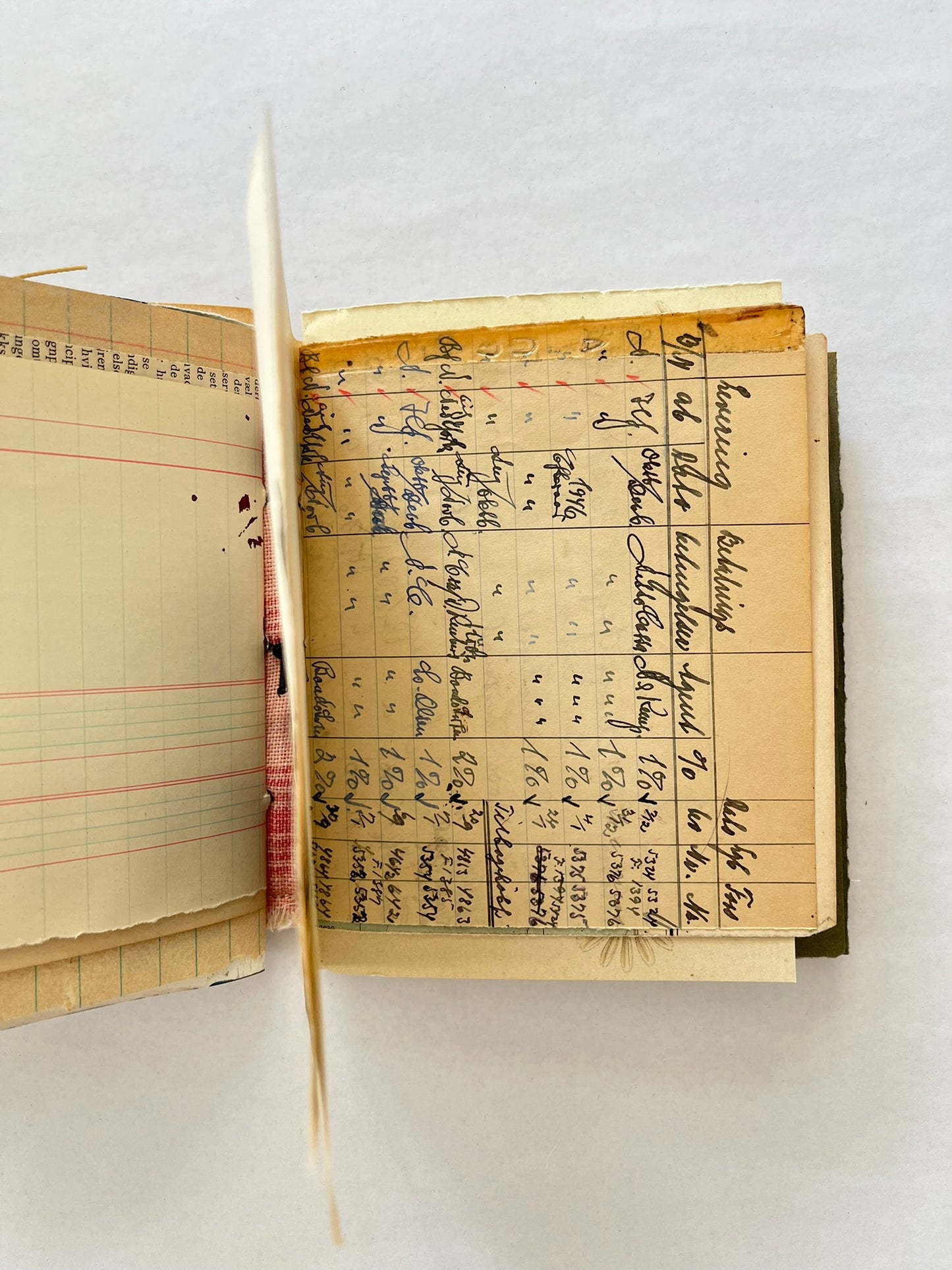 Nature/Garden Journal - no. 12