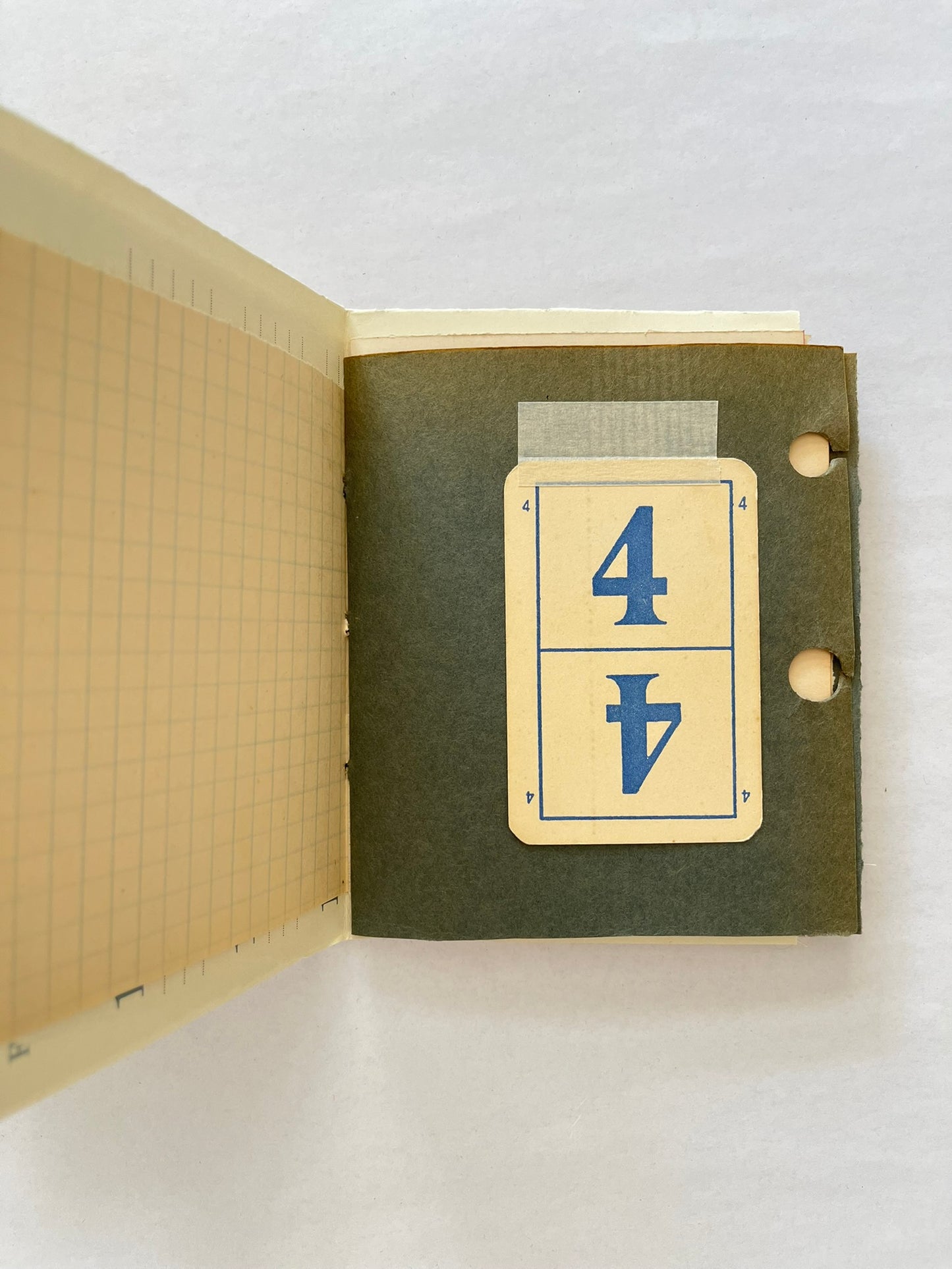Nature/Garden Journal - no. 12