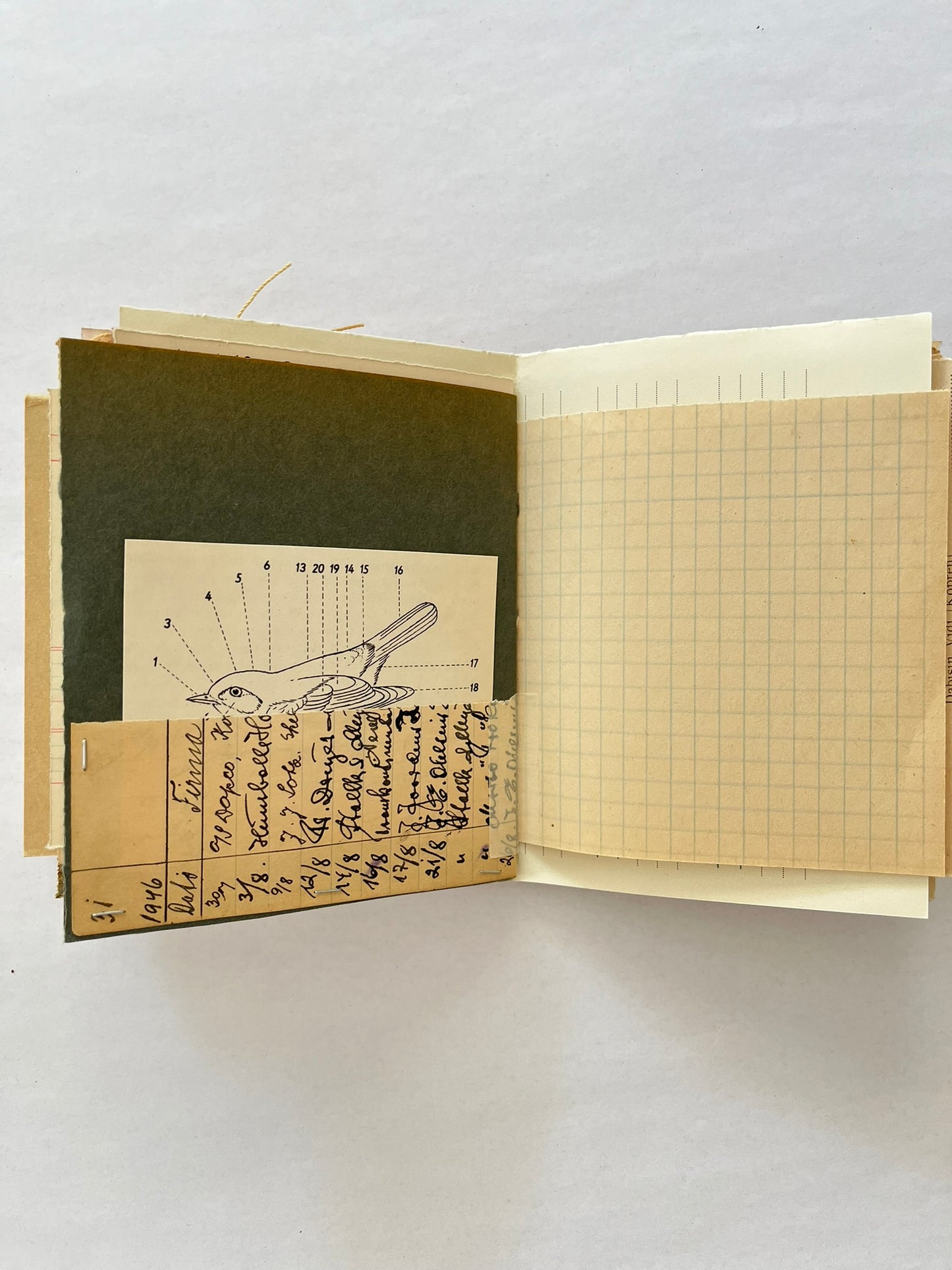 Nature/Garden Journal - no. 12