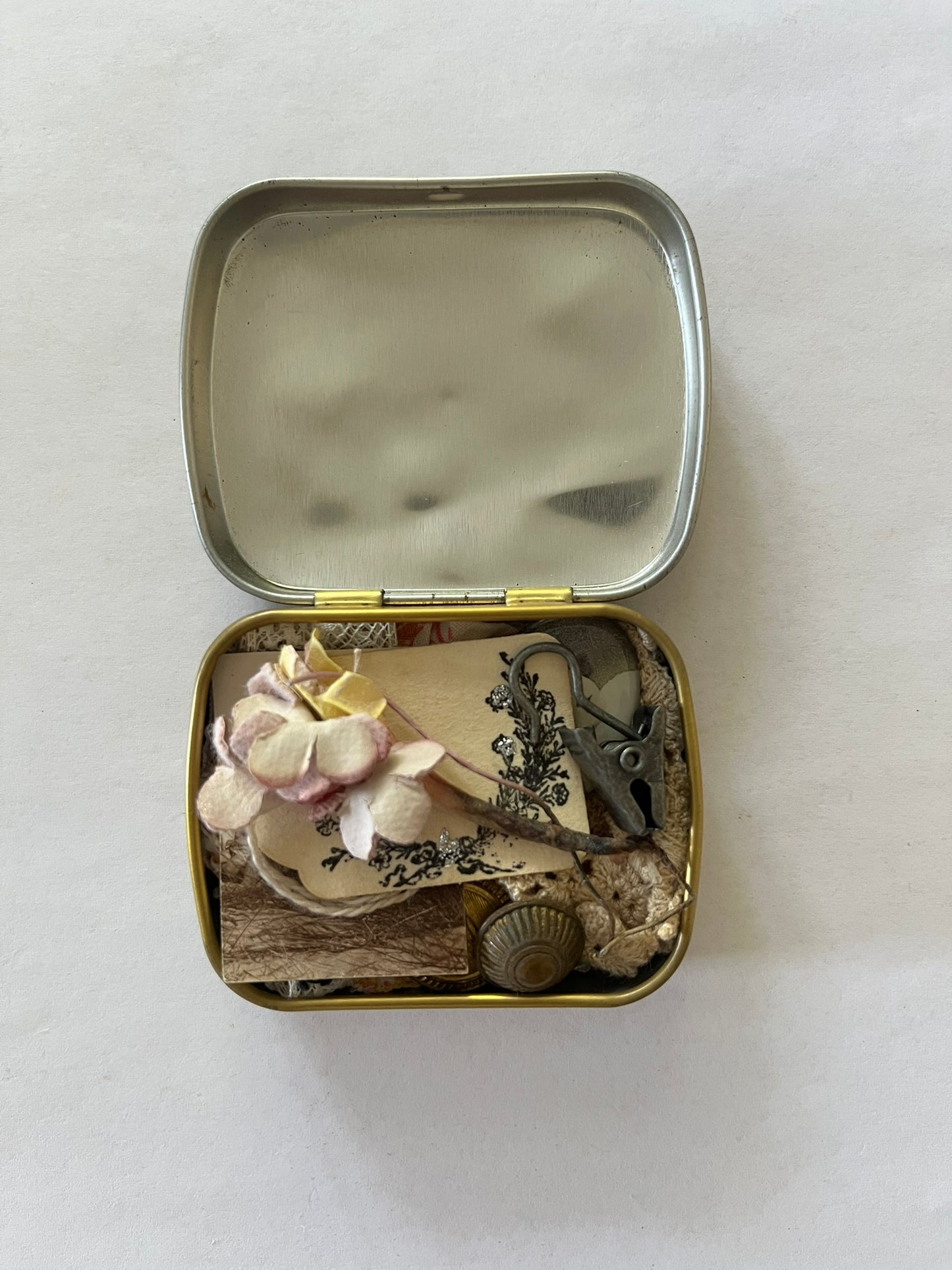 Little Box of Curiosity - Barone Amarelli