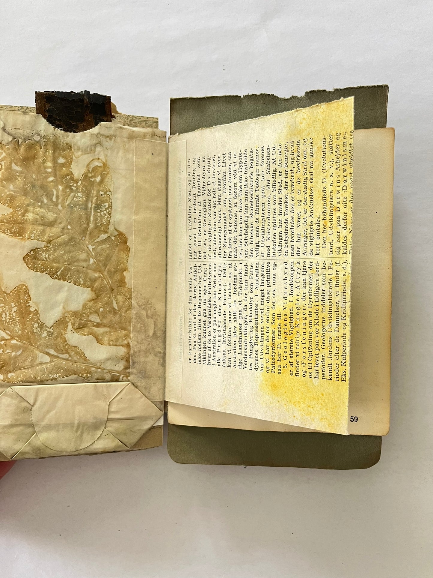 'AN' artjournal