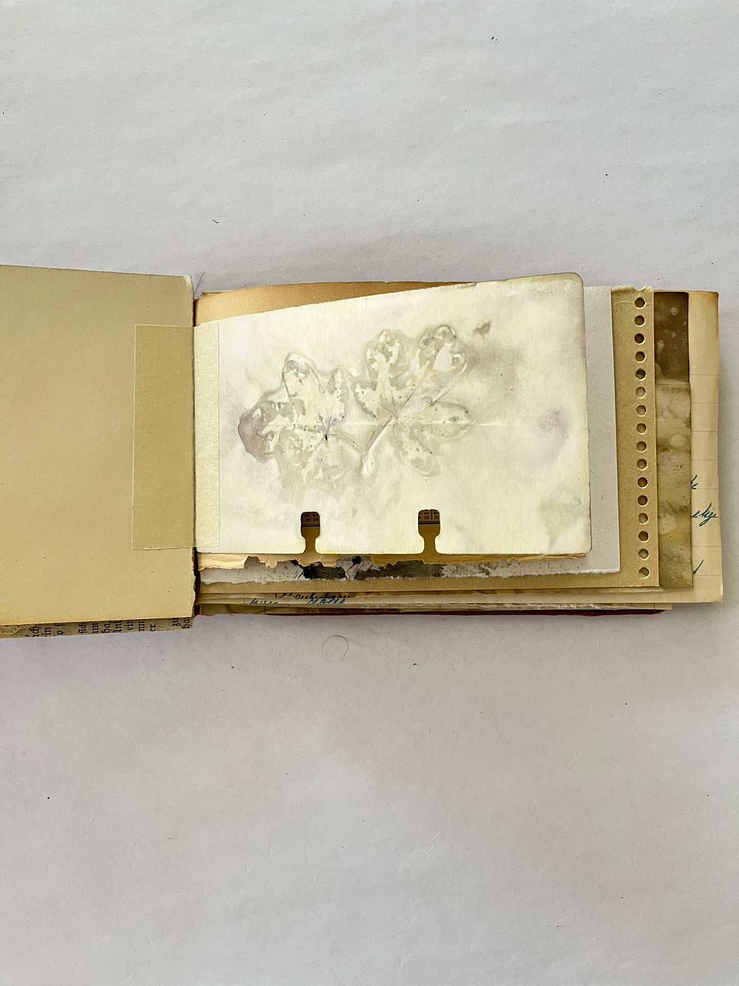 A day at the beach Journal