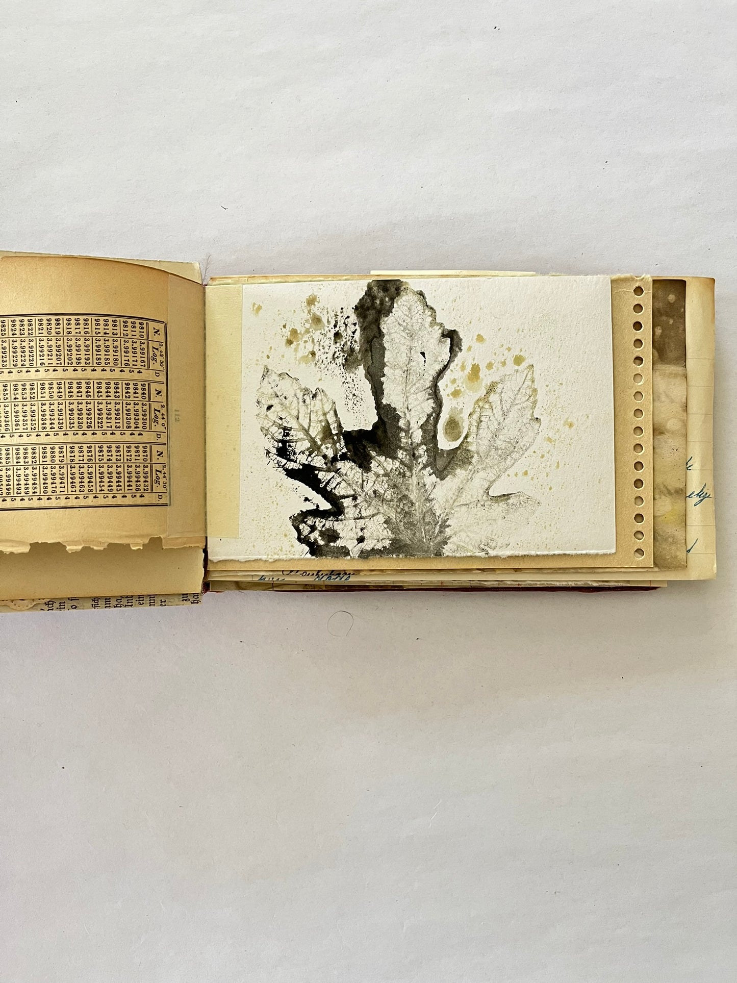 A day at the beach Journal