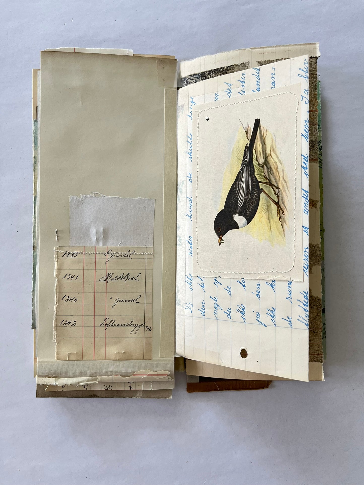 File Folder Journal  no. 2