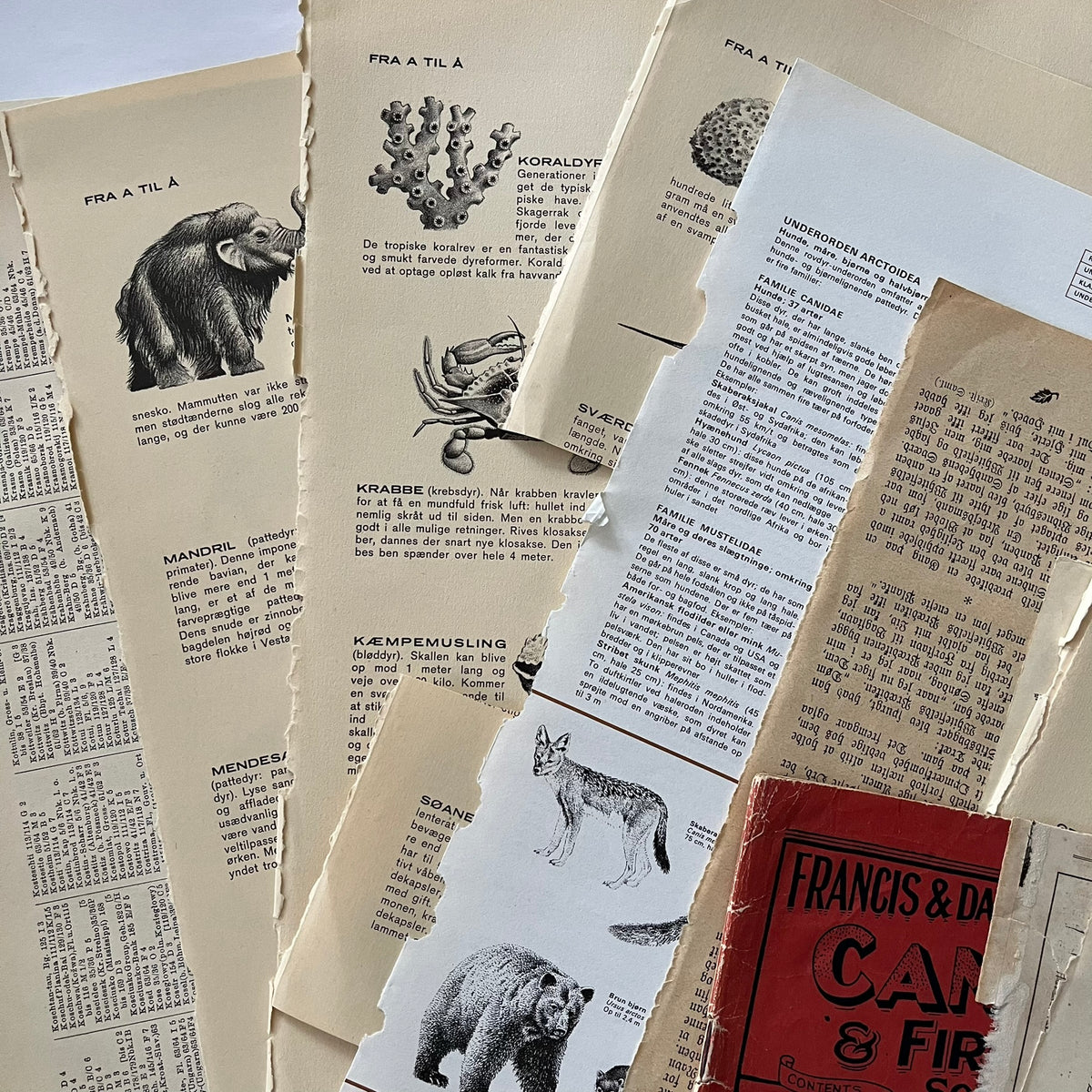 The large paper bundle - no. 1