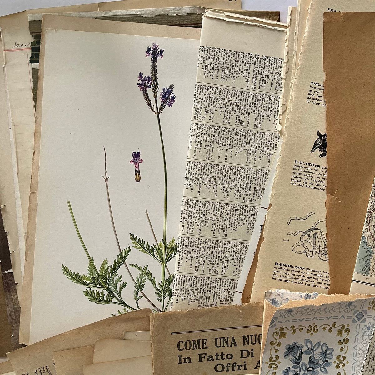 The large paper bundle - no. 2