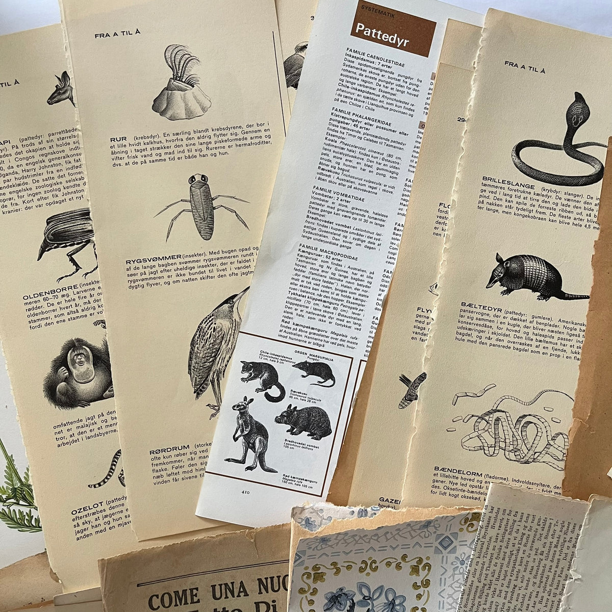 The large paper bundle - no. 2