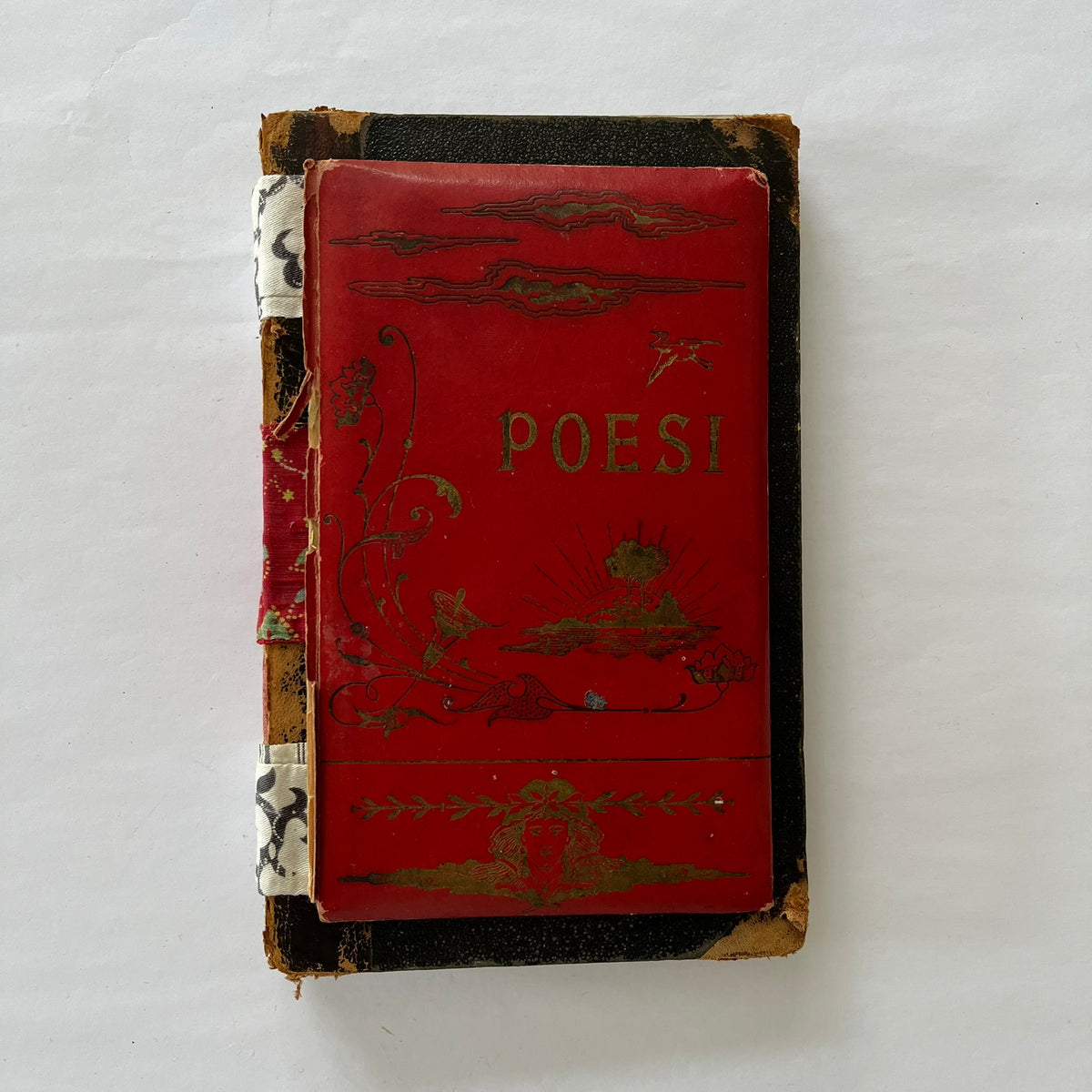 The Poesi journal