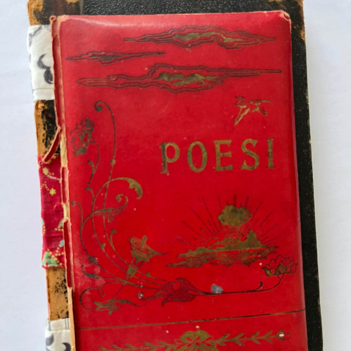 The Poesi journal