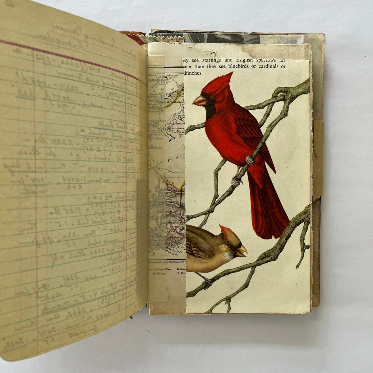 The Poesi journal